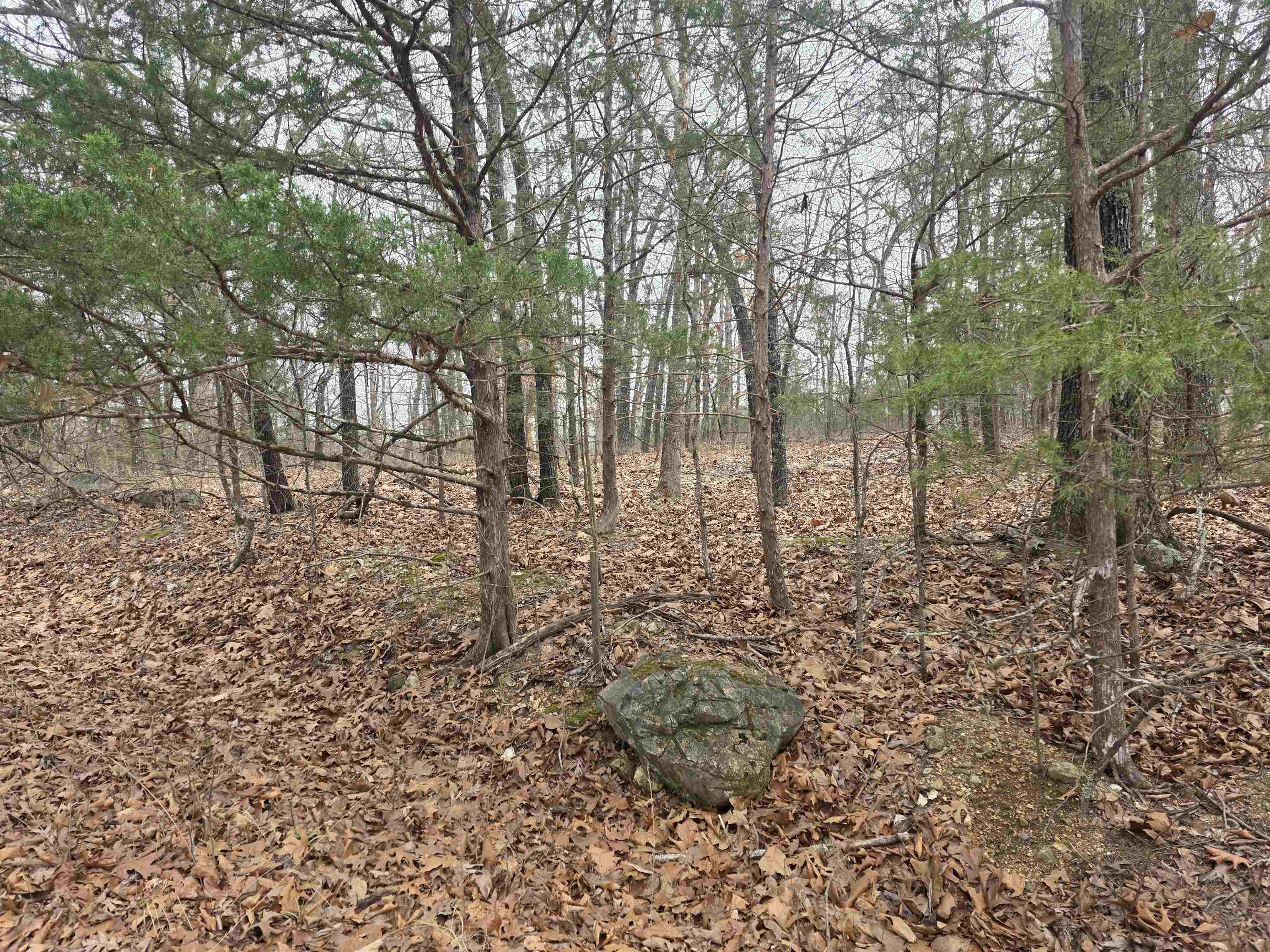 L30 B11 Pahokee  Cherokee Village, AR