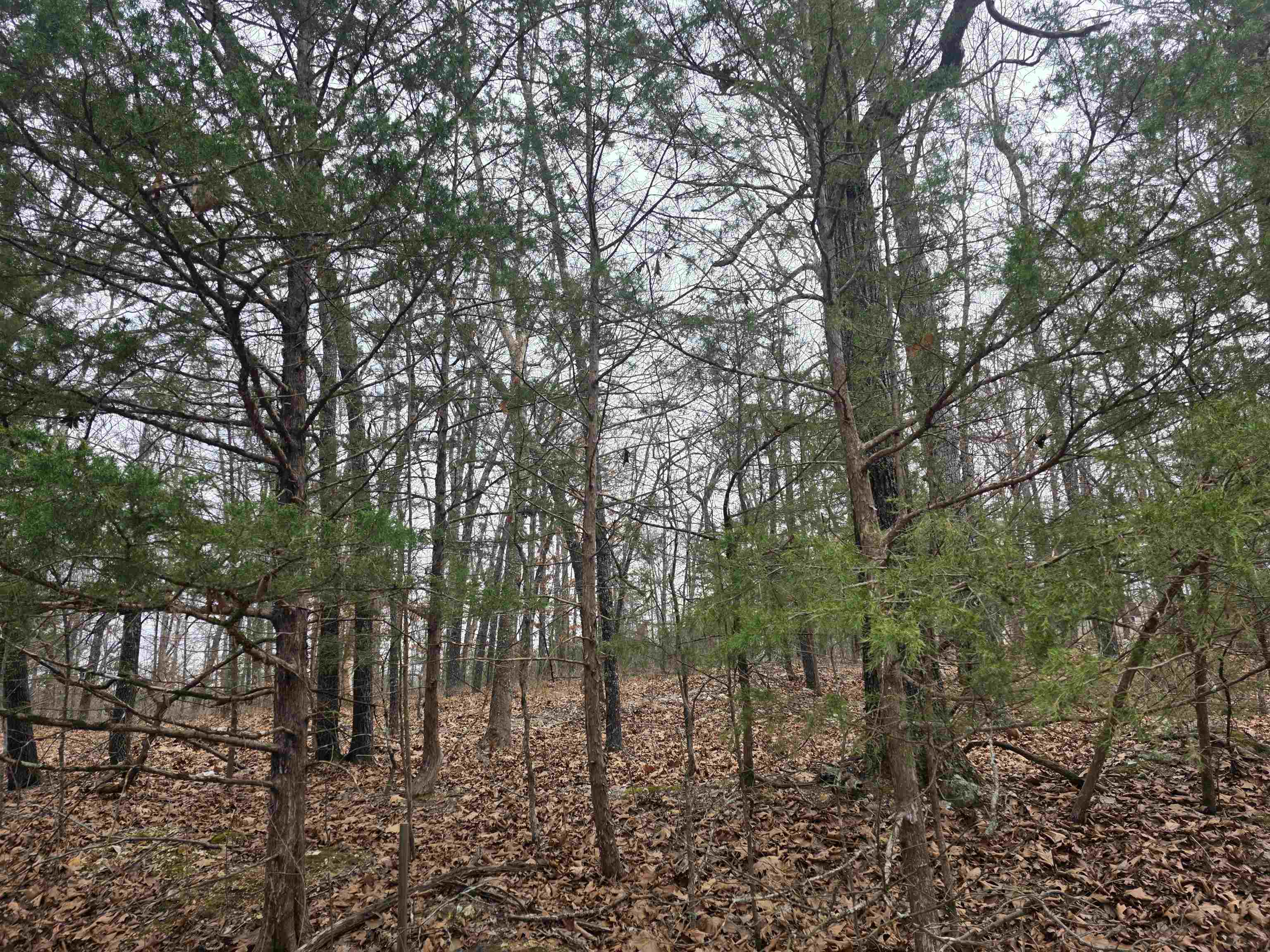 L30 B11 Pahokee  Cherokee Village, AR