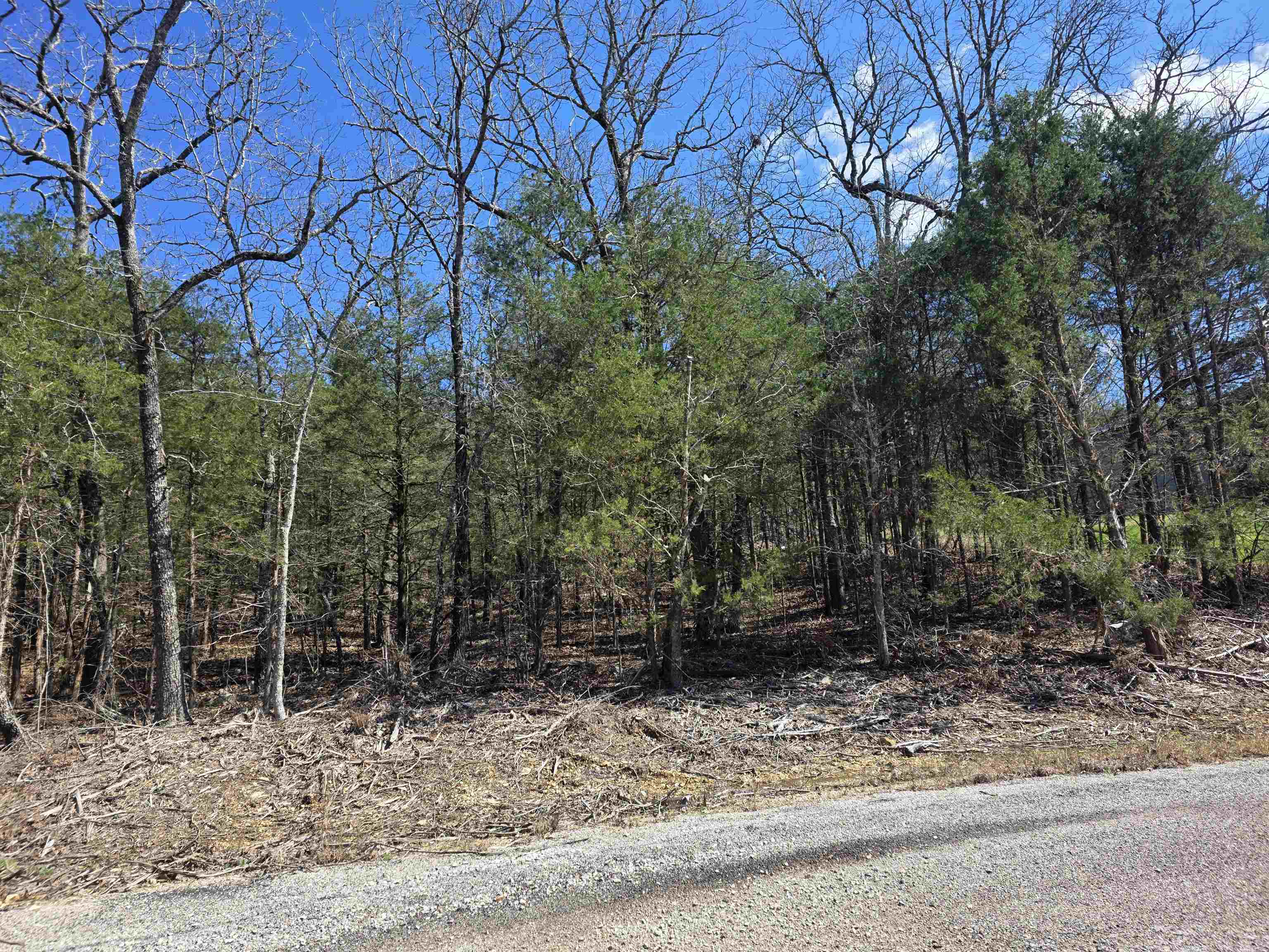 L1 B11 Pahokee  Cherokee Village, AR