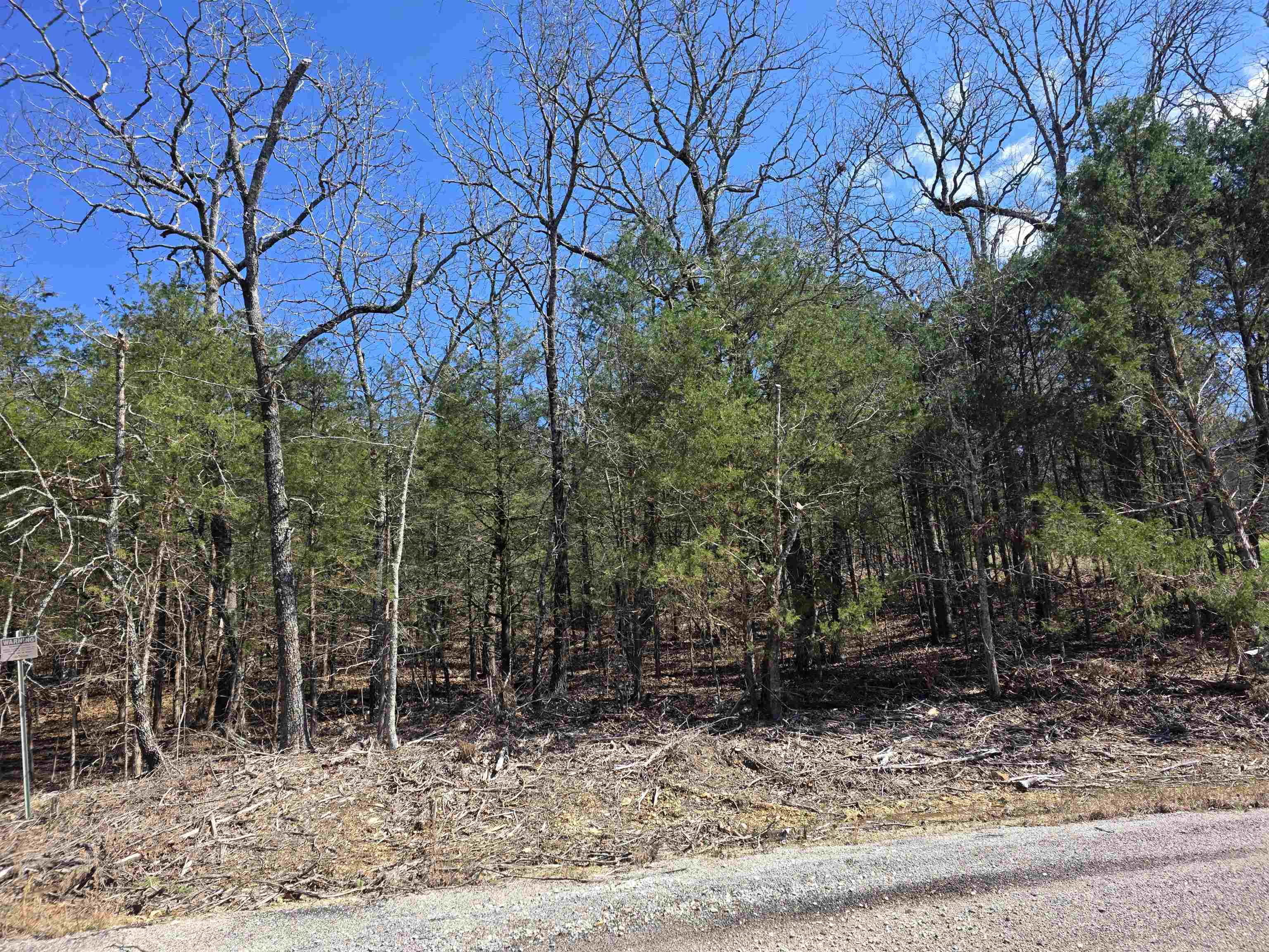 L1 B11 Pahokee  Cherokee Village, AR