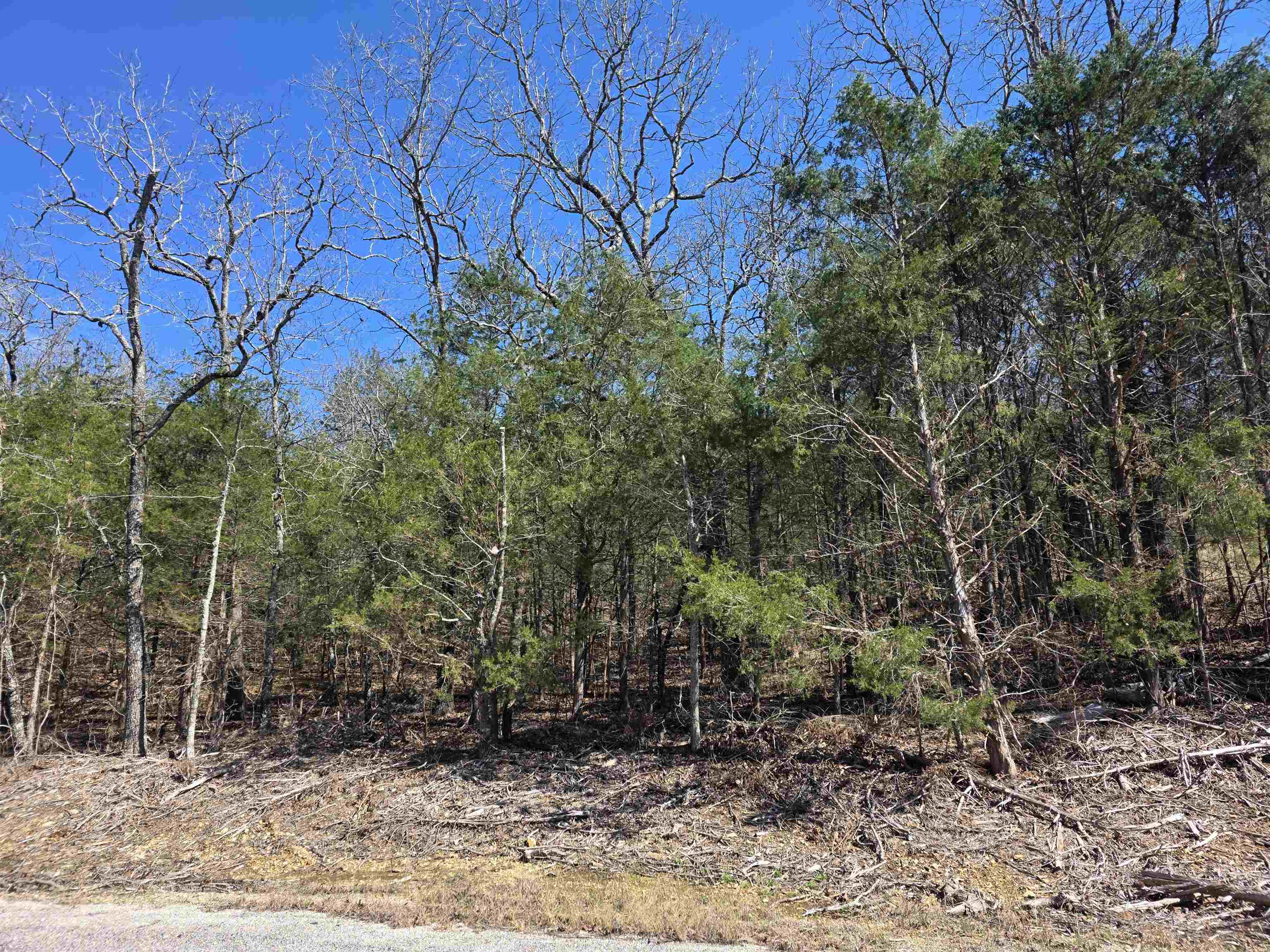 L1 B11 Pahokee  Cherokee Village, AR