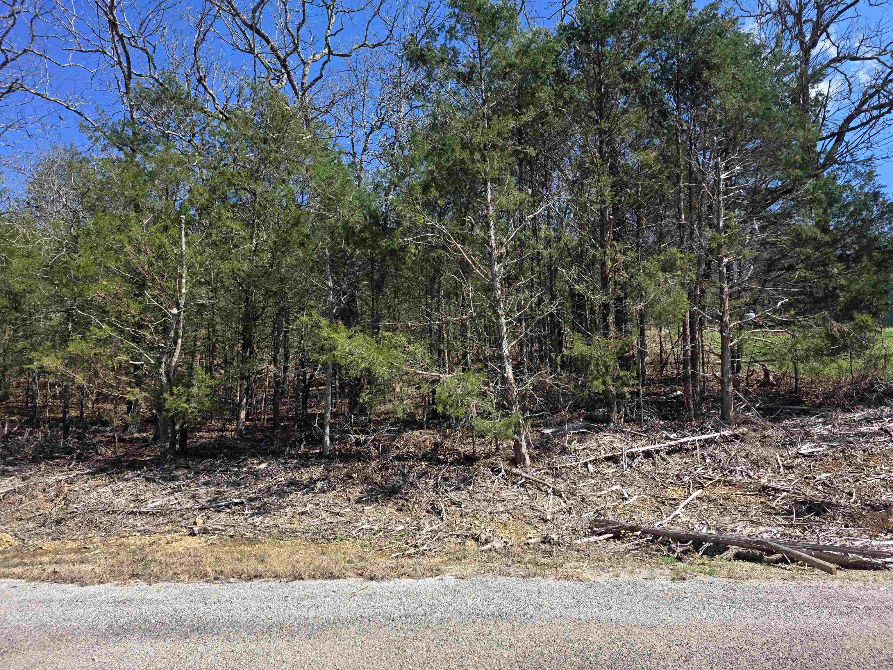 L1 B11 Pahokee  Cherokee Village, AR