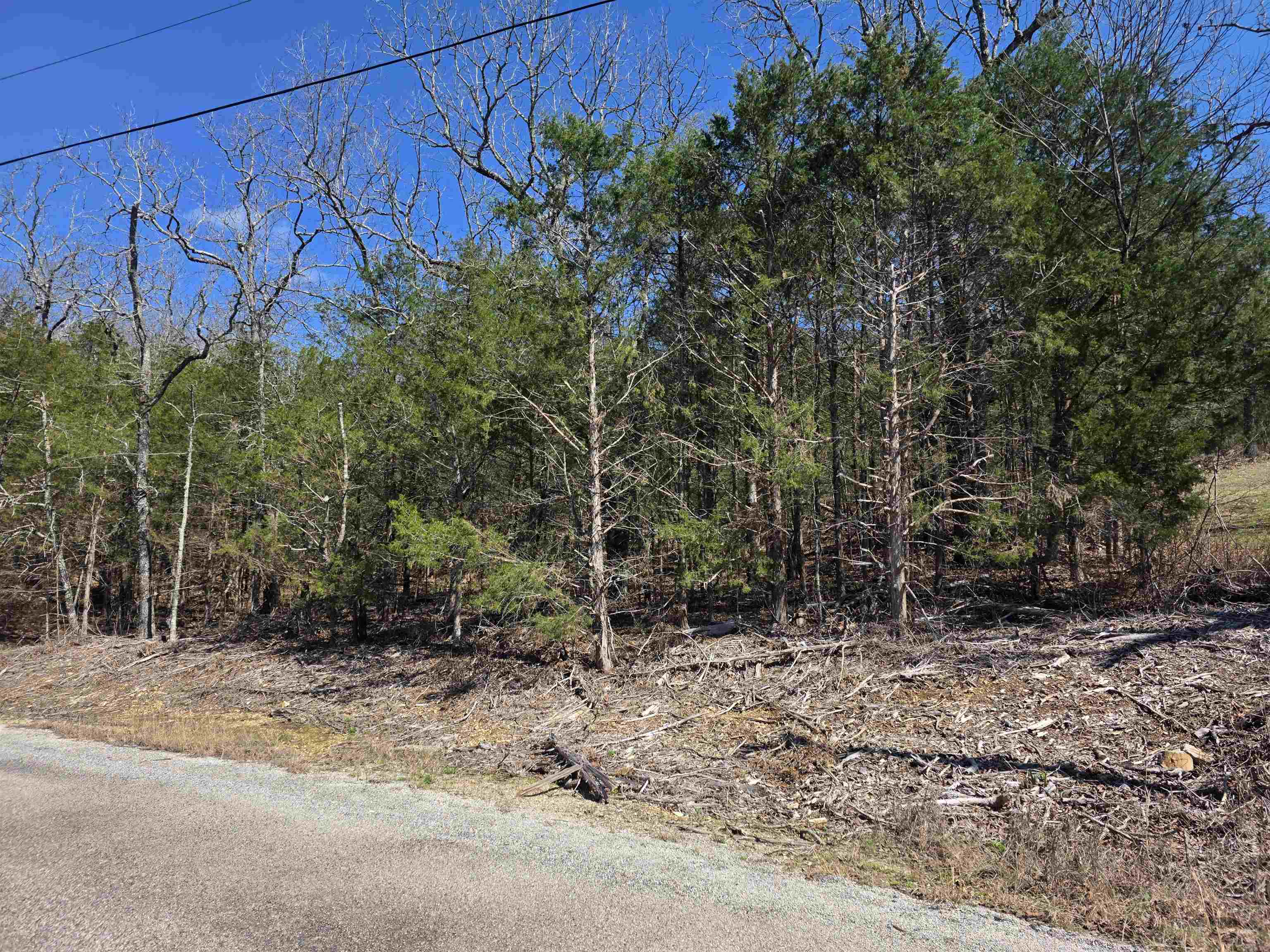 L1 B11 Pahokee  Cherokee Village, AR