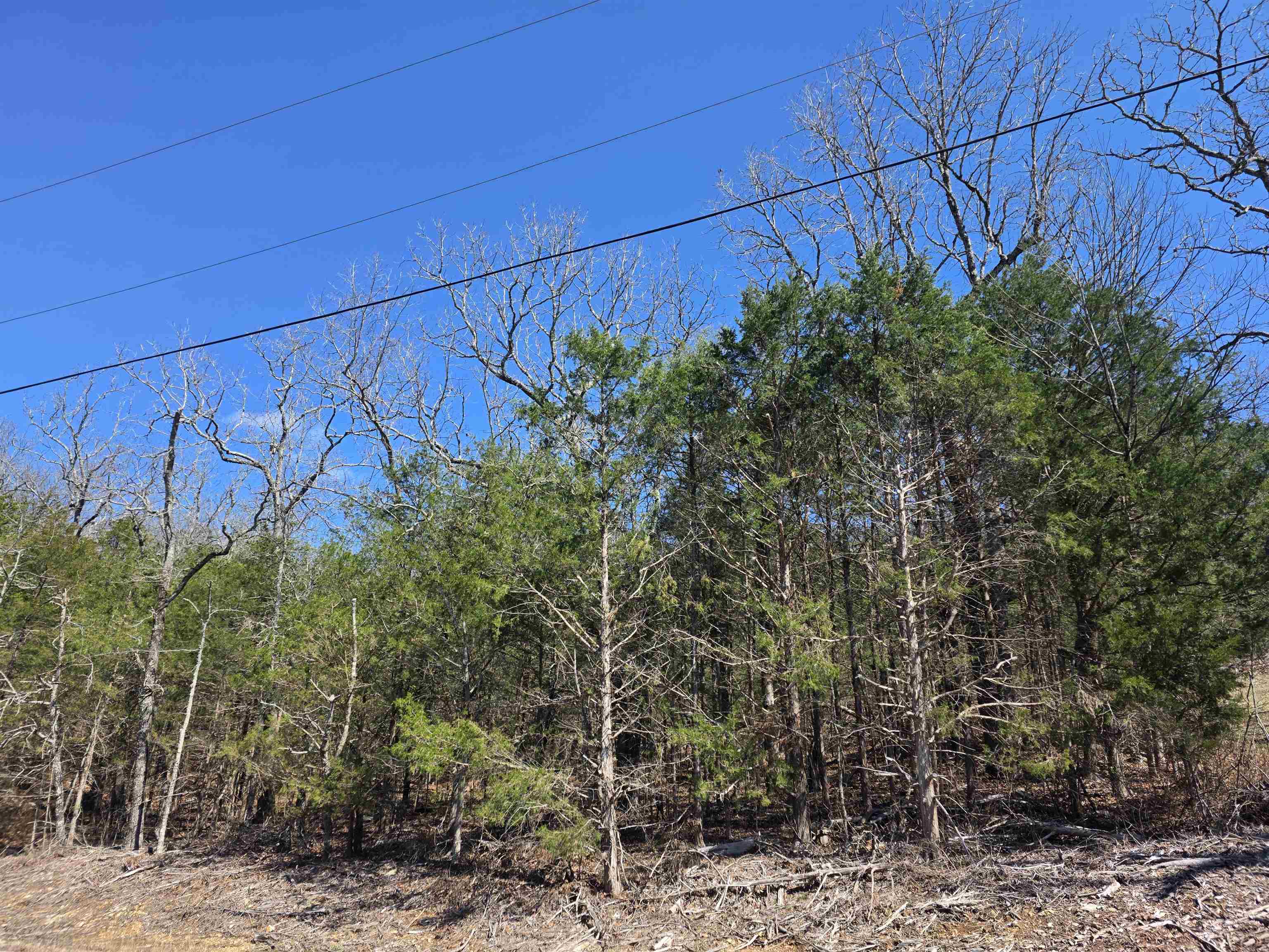 L1 B11 Pahokee  Cherokee Village, AR