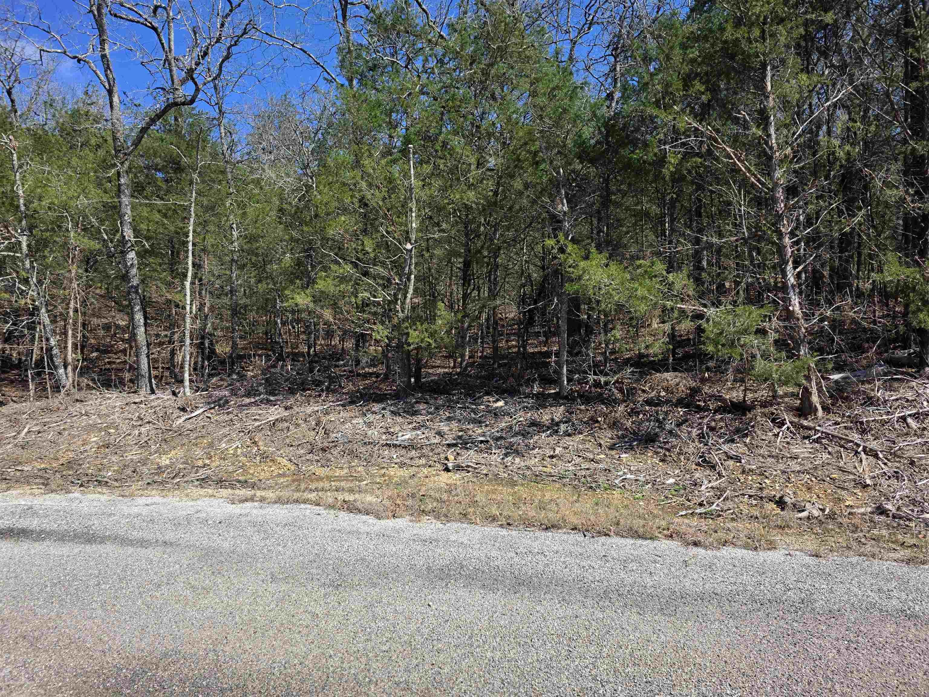 L1 B11 Pahokee  Cherokee Village, AR