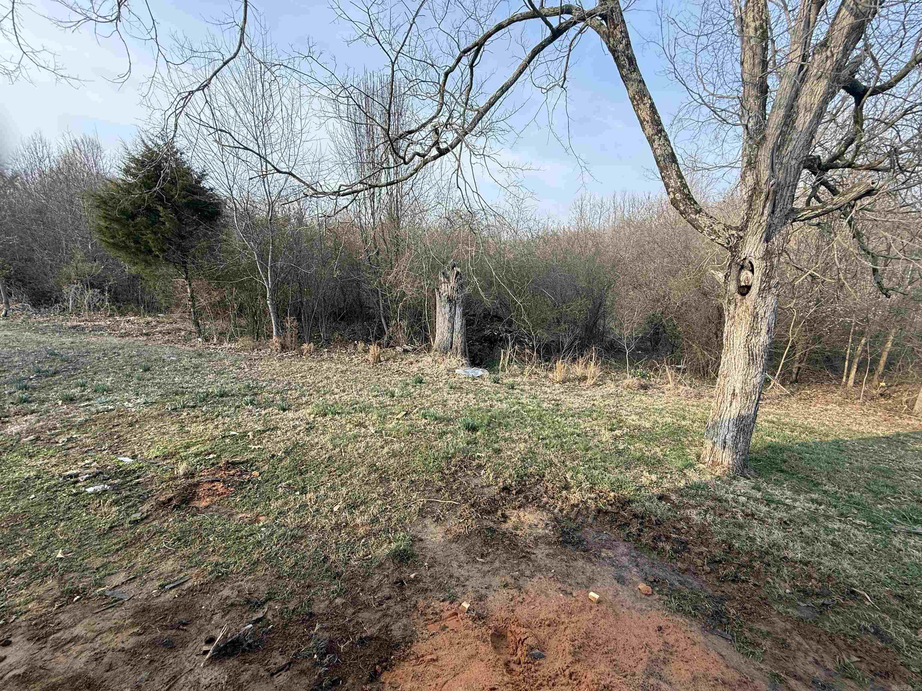 4213 Cedar Heights  Paragould, AR