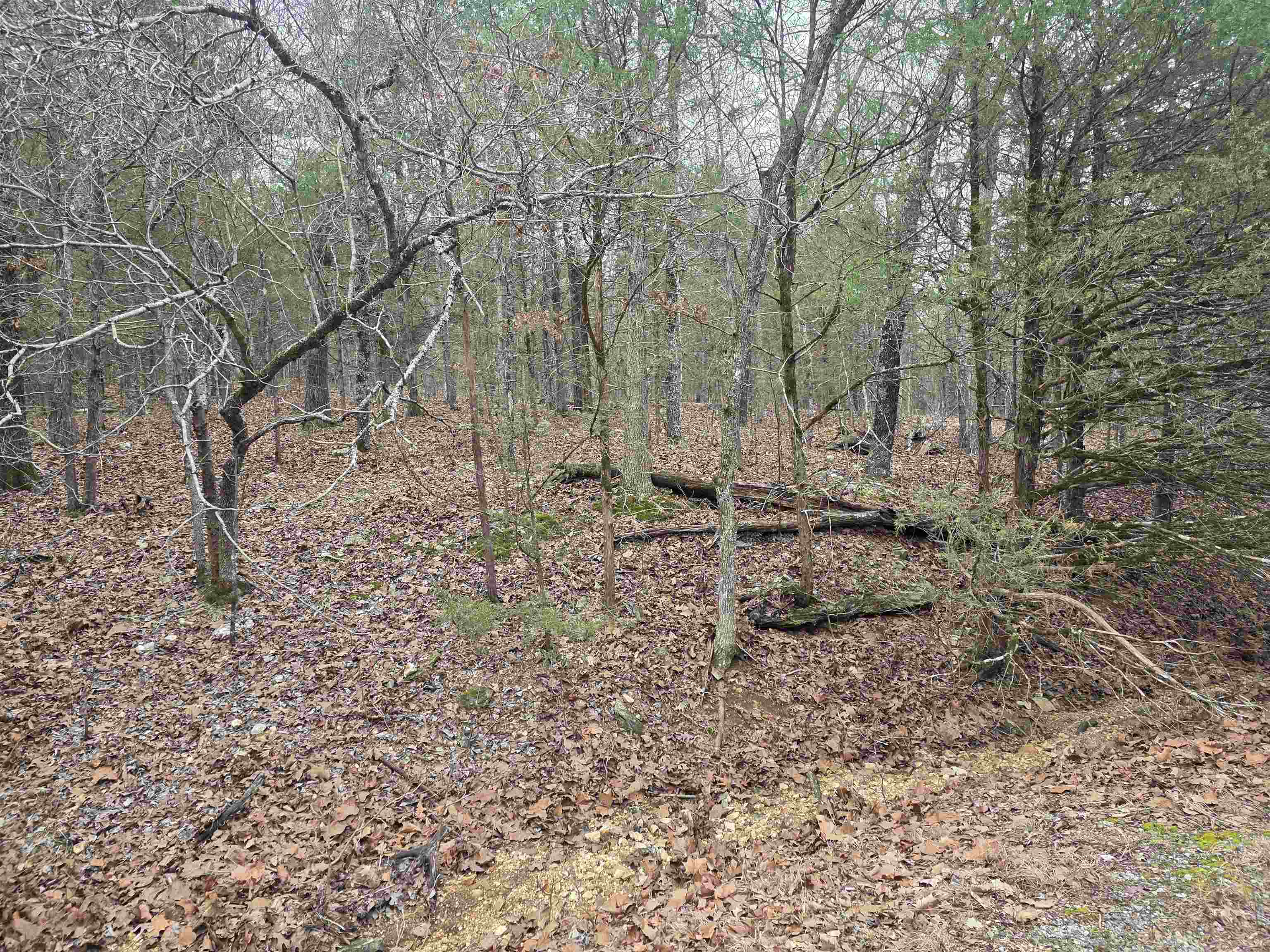 L8 B10 Pahokee  Cherokee Village, AR