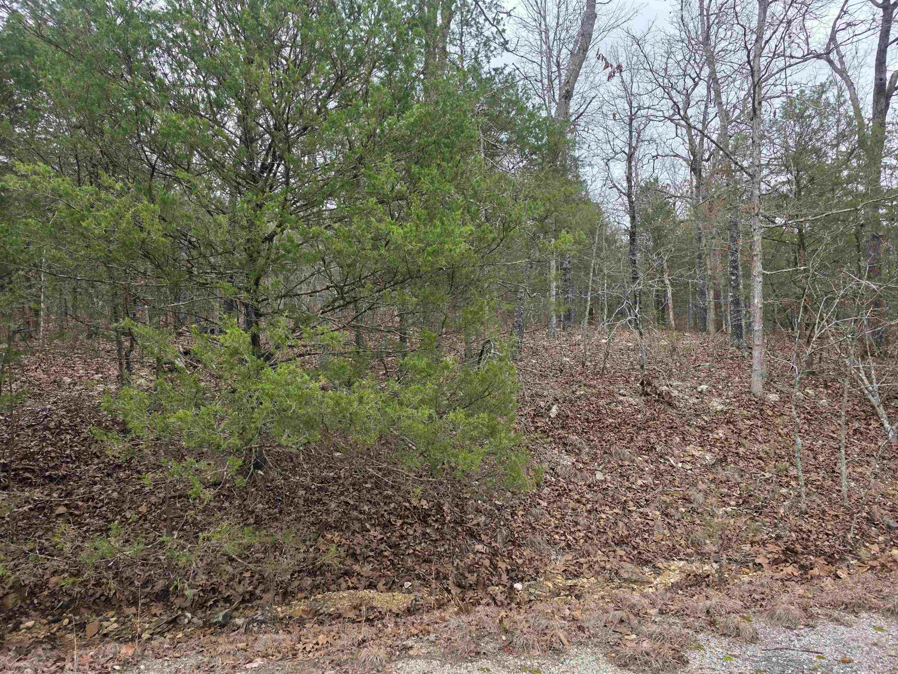 L8 B10 Pahokee  Cherokee Village, AR