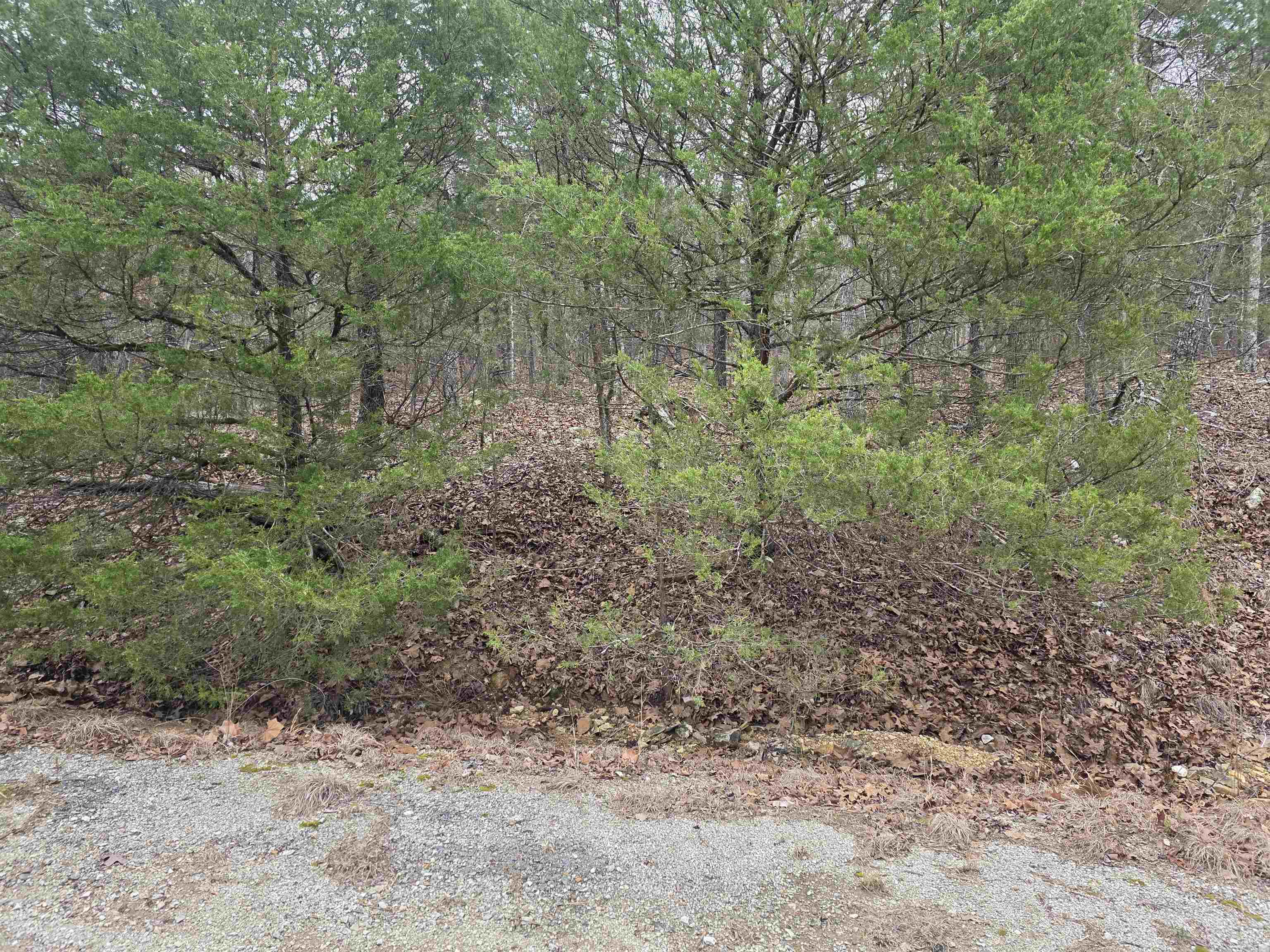 L8 B10 Pahokee  Cherokee Village, AR