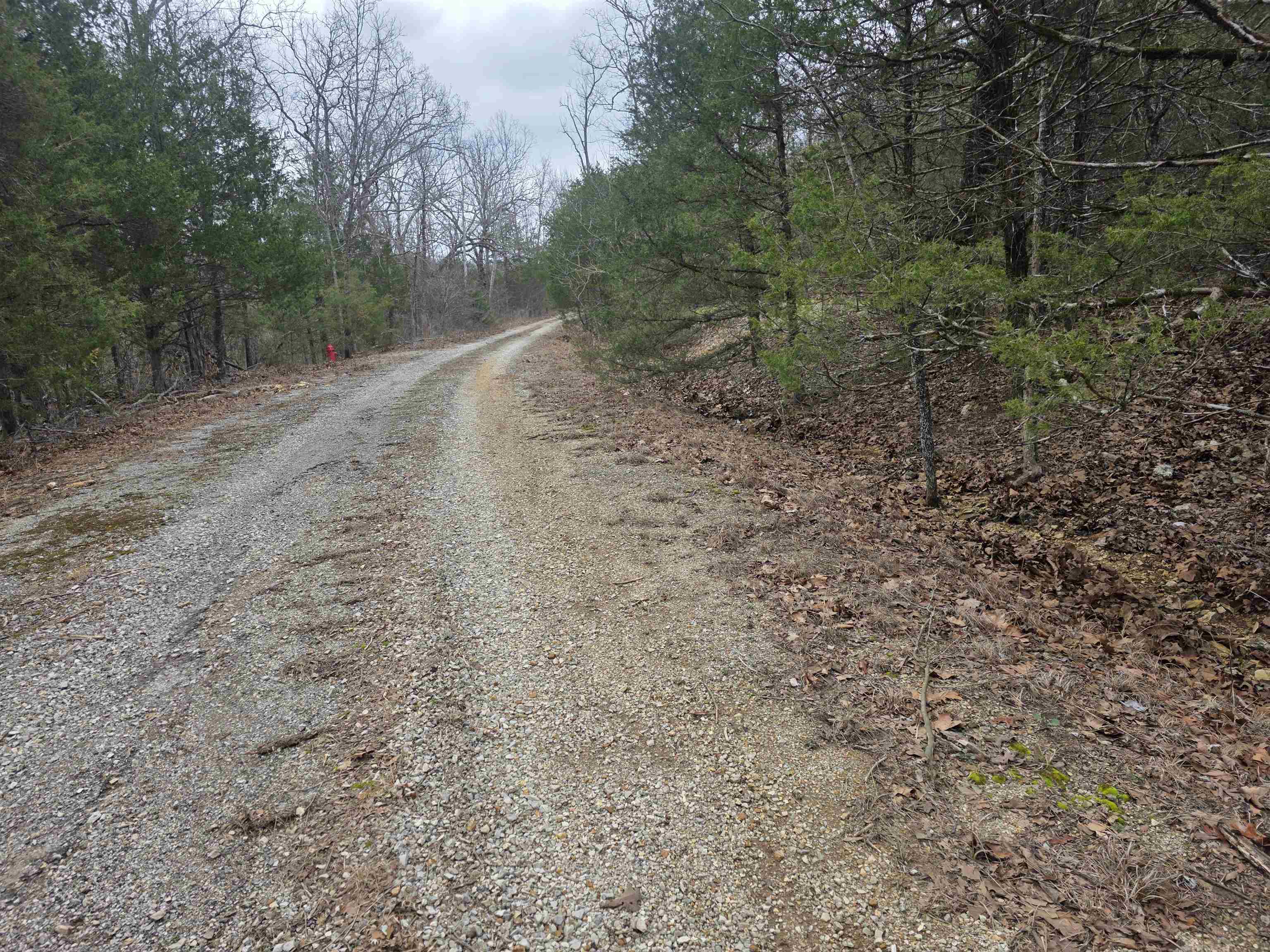 L8 B10 Pahokee  Cherokee Village, AR