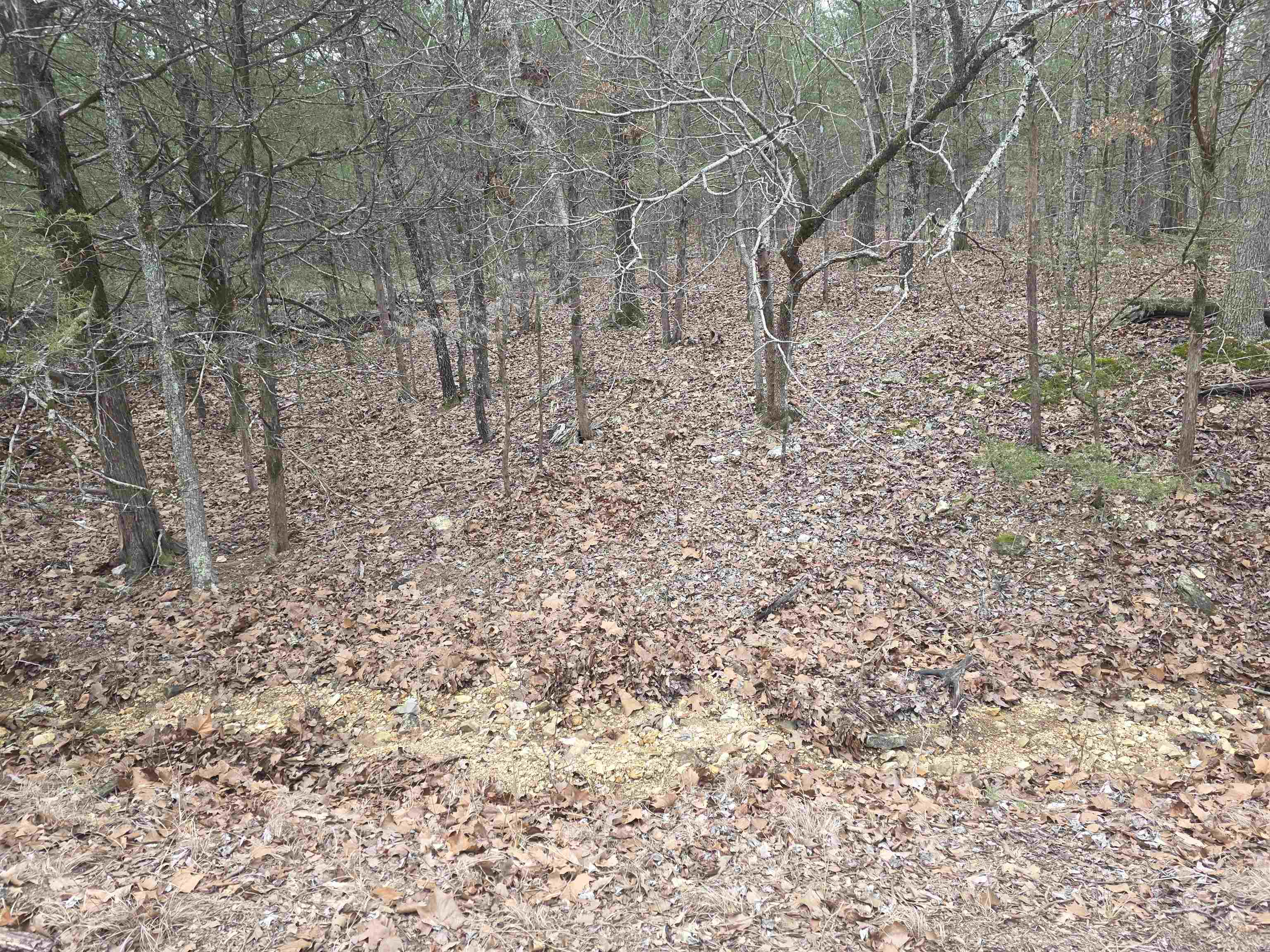 L8 B10 Pahokee  Cherokee Village, AR