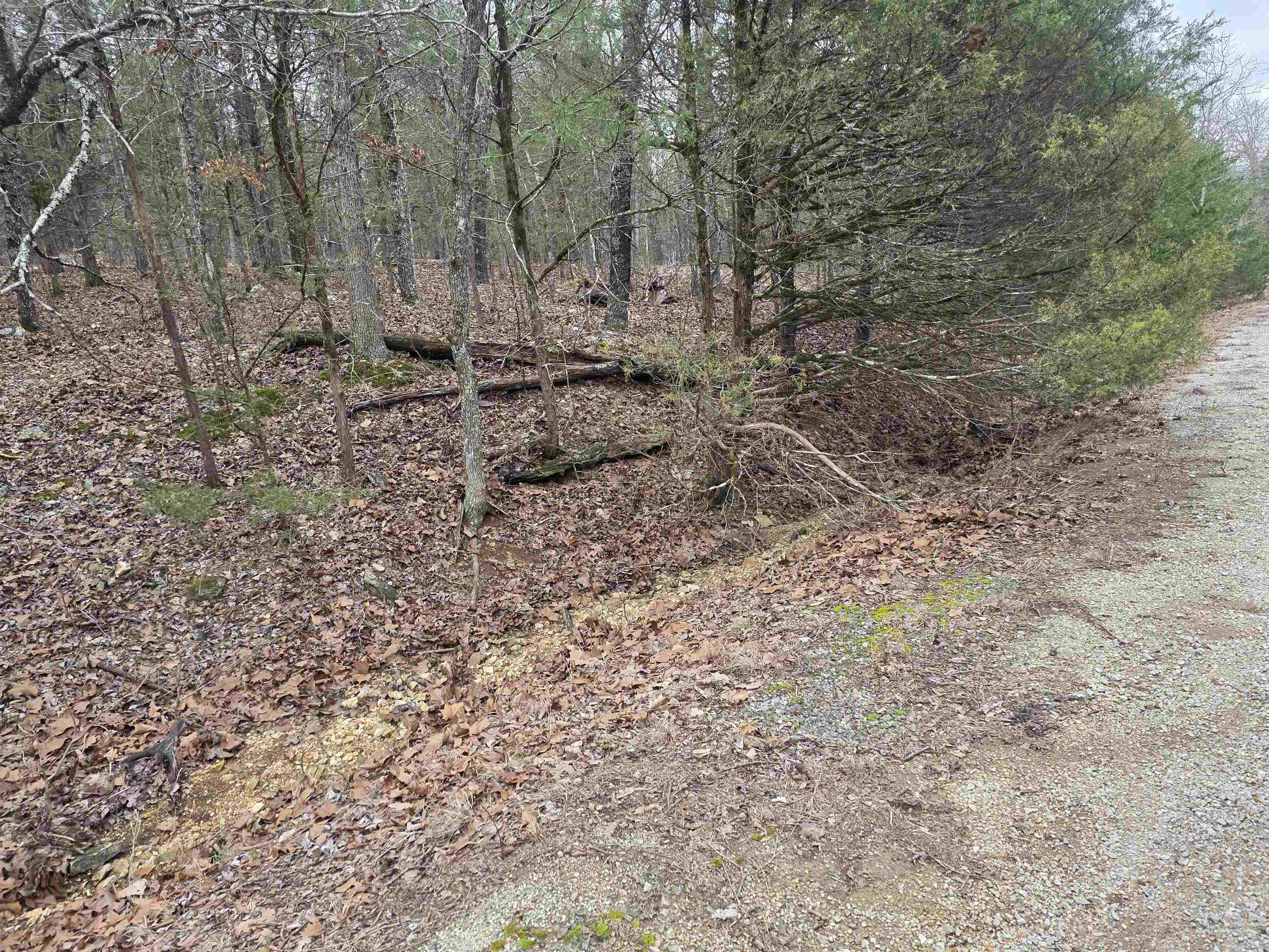 L8 B10 Pahokee  Cherokee Village, AR