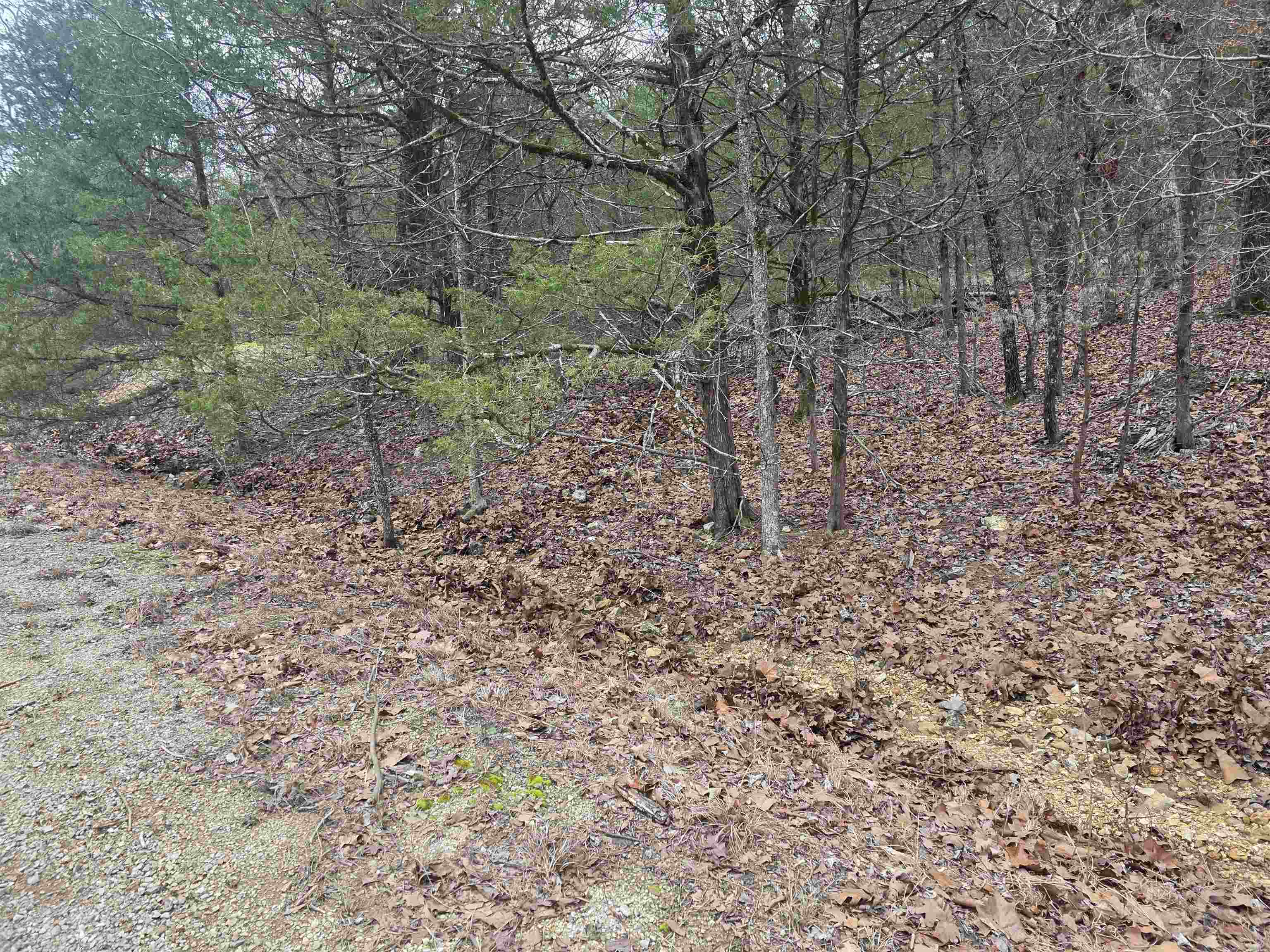 L8 B10 Pahokee  Cherokee Village, AR