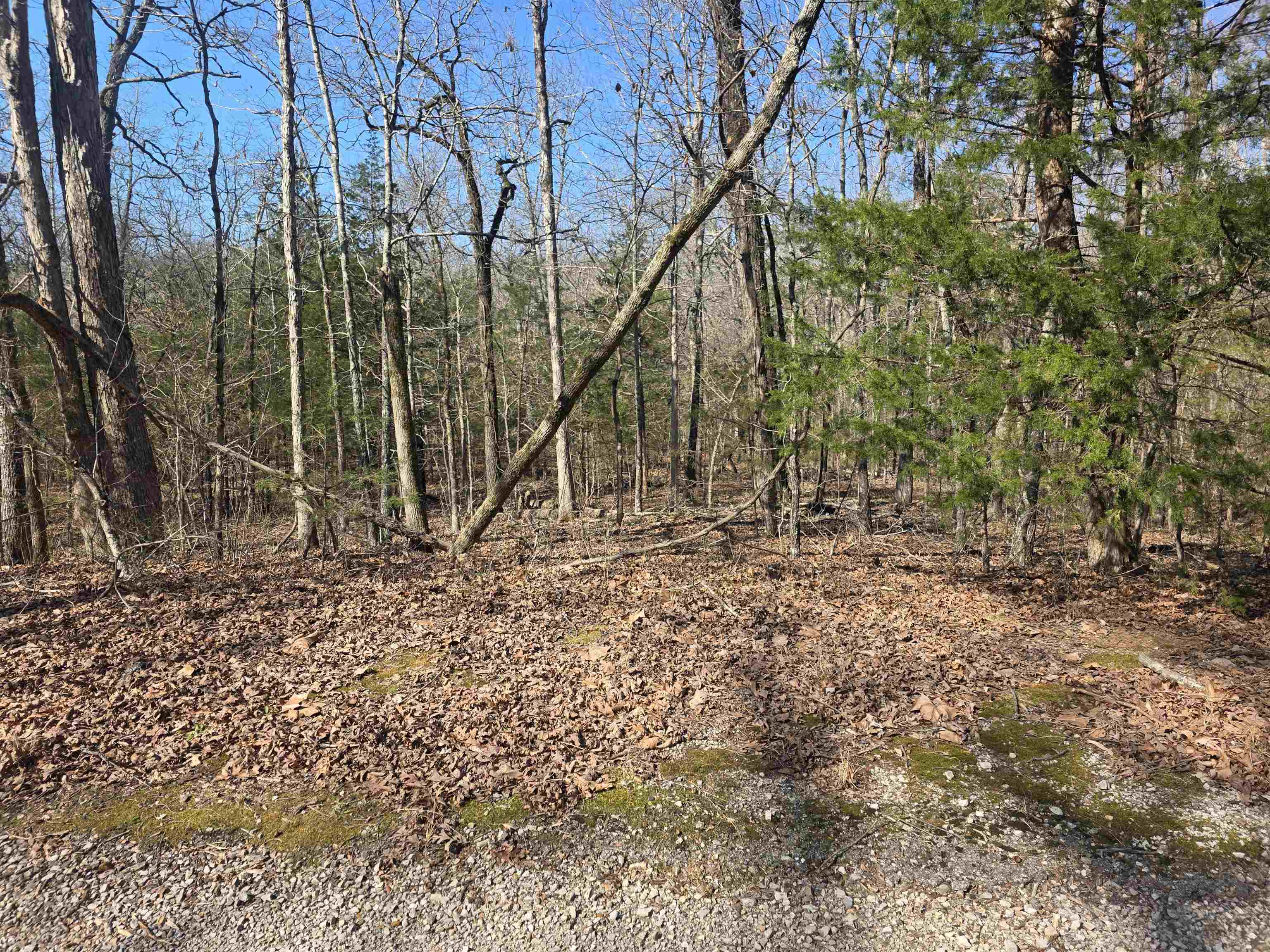 L-45, B-9 Pahokee  Cherokee Village, AR