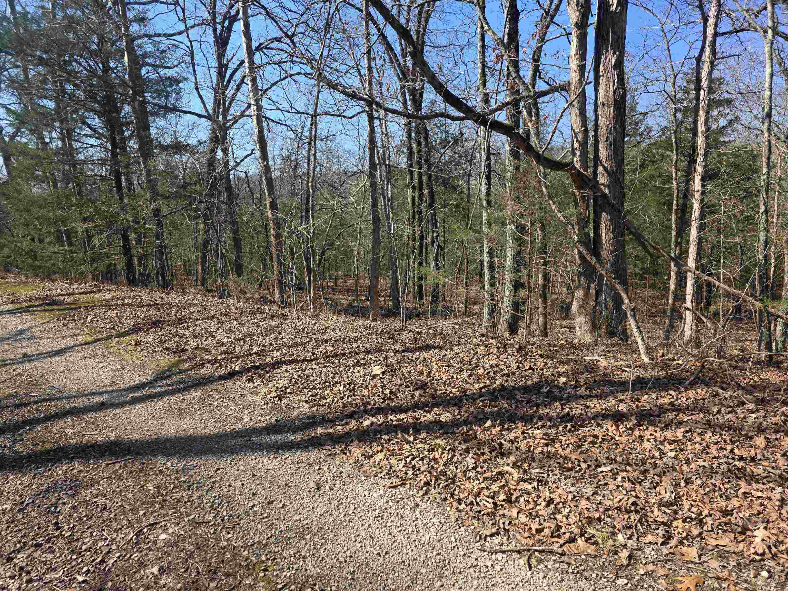 L-45, B-9 Pahokee  Cherokee Village, AR