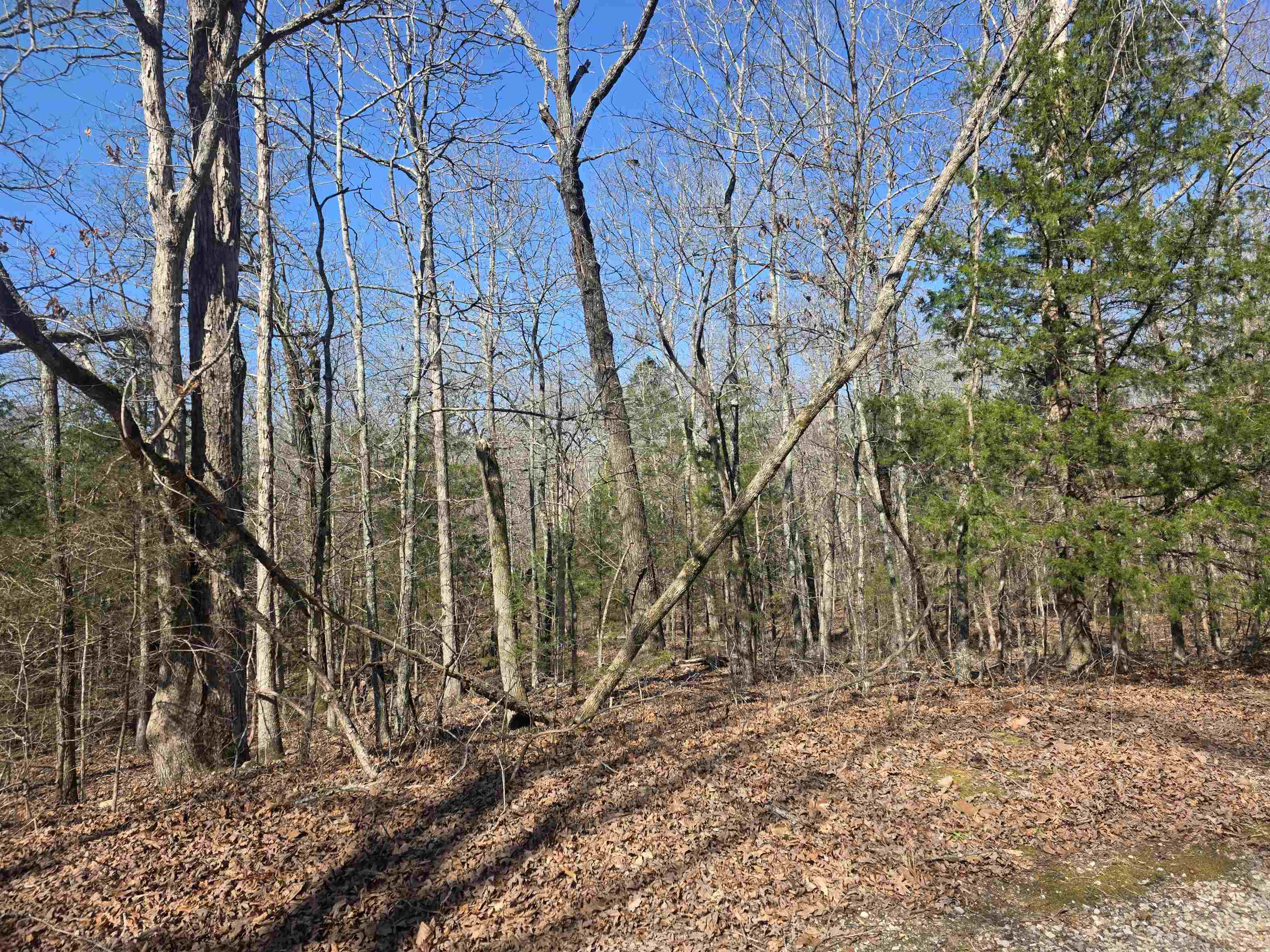 L-45, B-9 Pahokee  Cherokee Village, AR