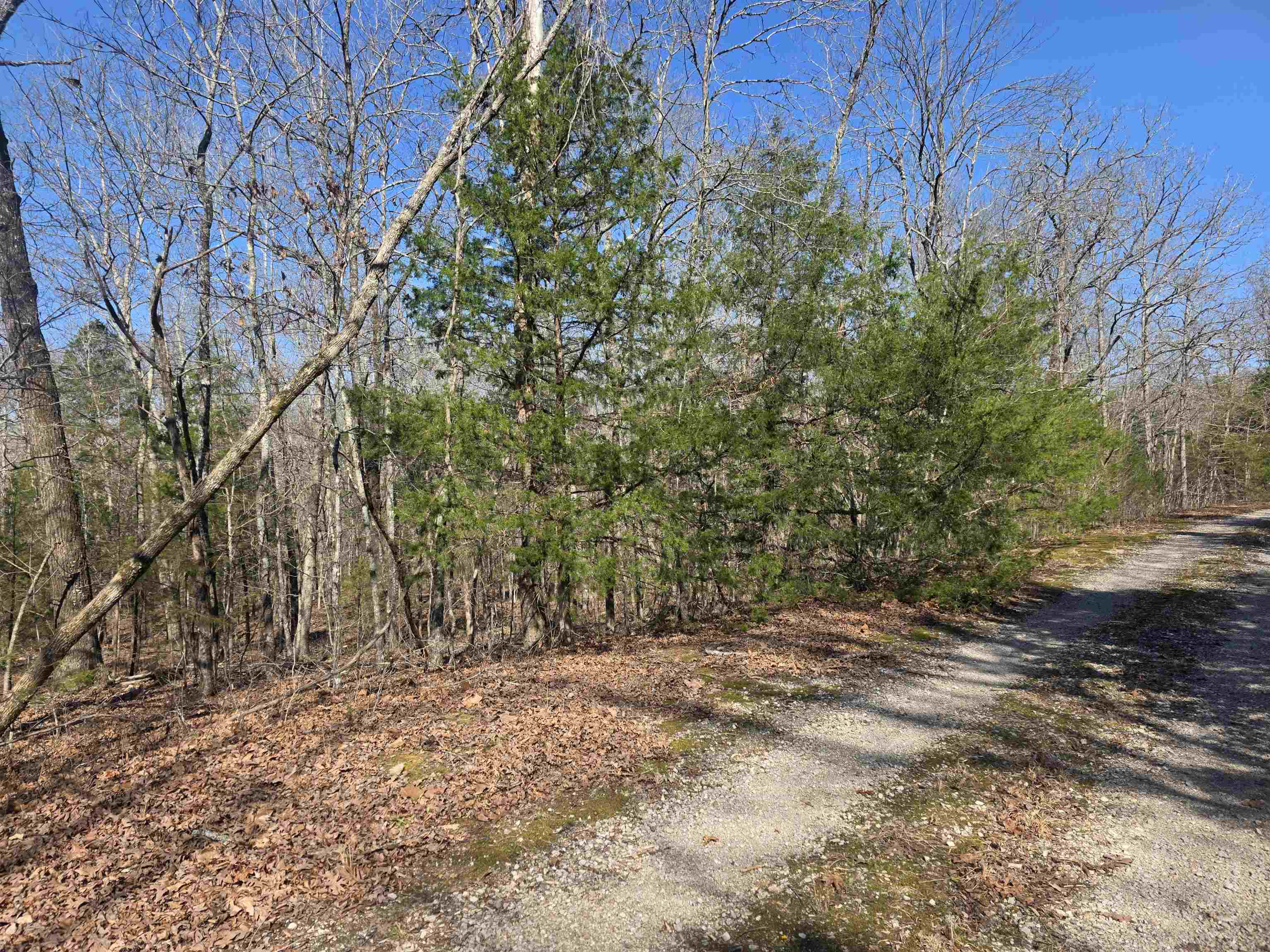 L-45, B-9 Pahokee  Cherokee Village, AR