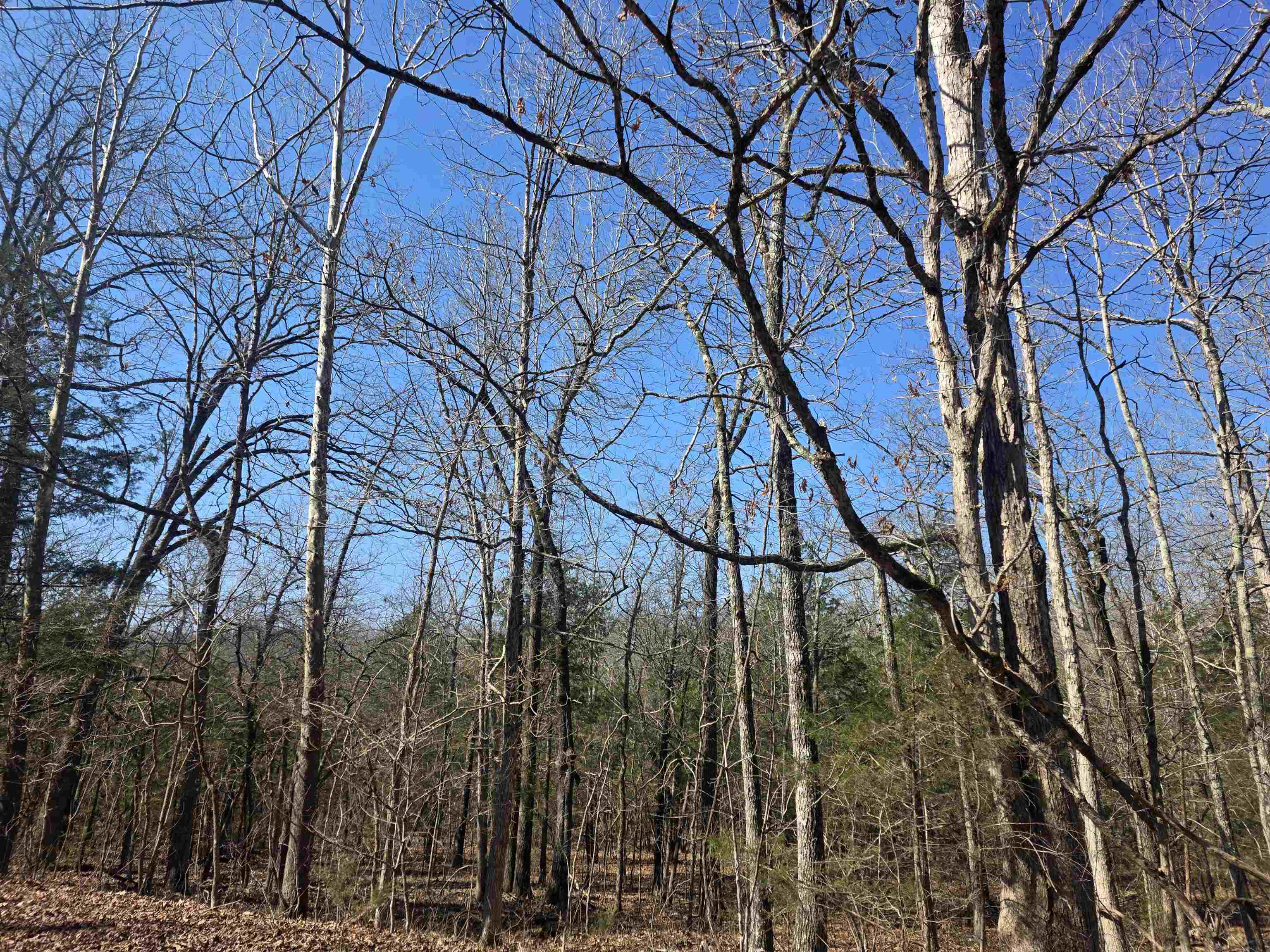 L-45, B-9 Pahokee  Cherokee Village, AR