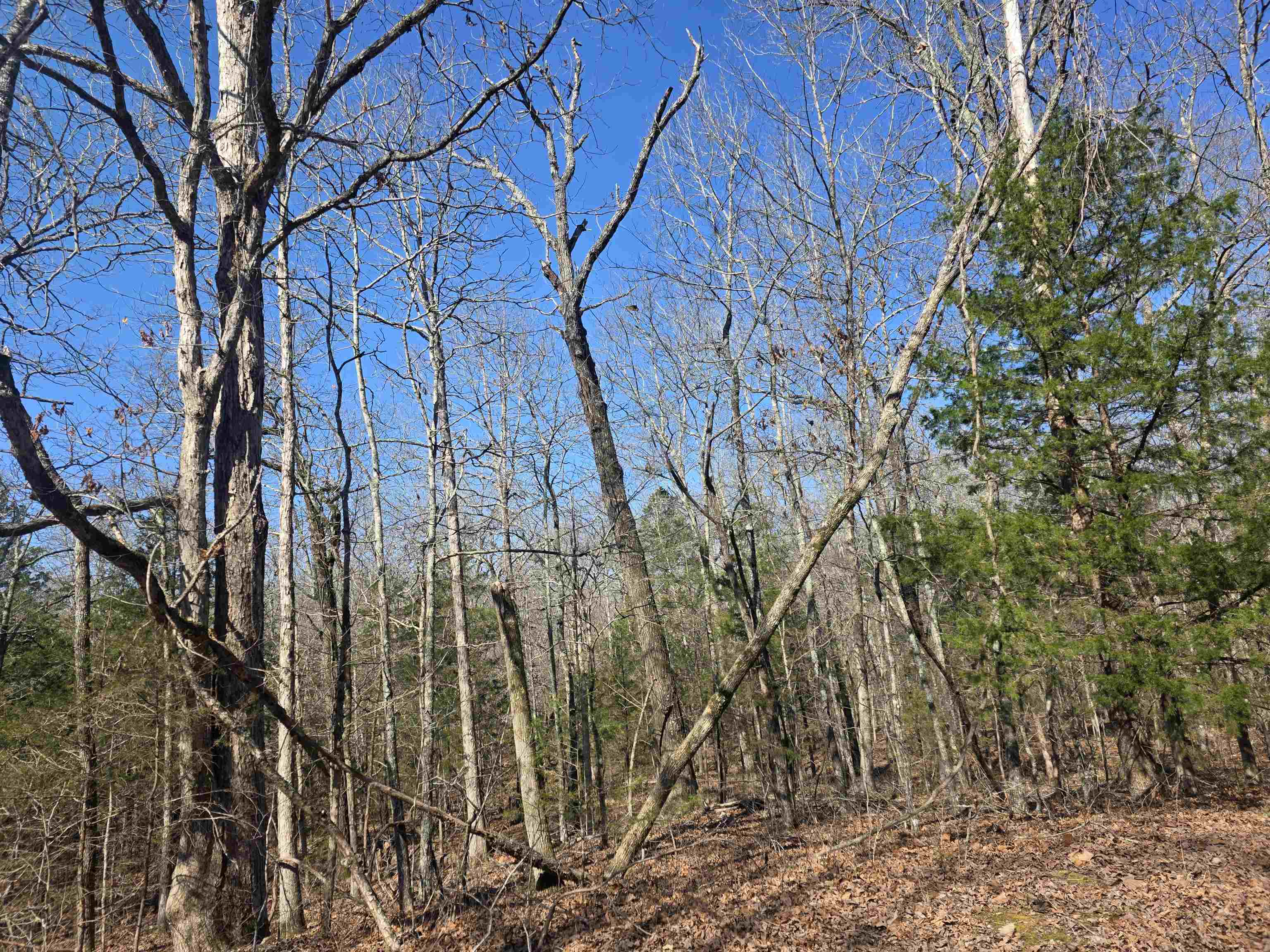 L-45, B-9 Pahokee  Cherokee Village, AR