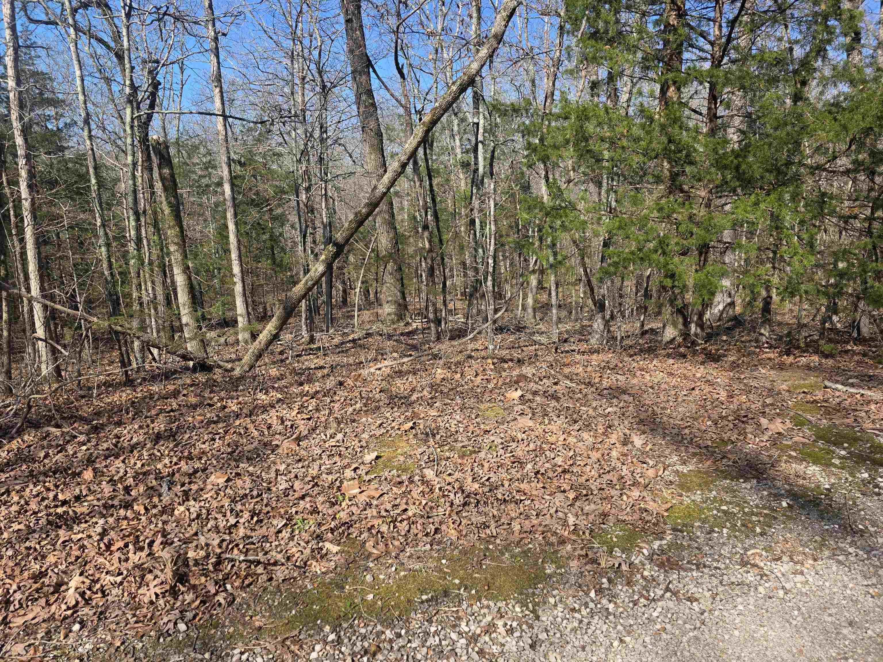 L-45, B-9 Pahokee  Cherokee Village, AR