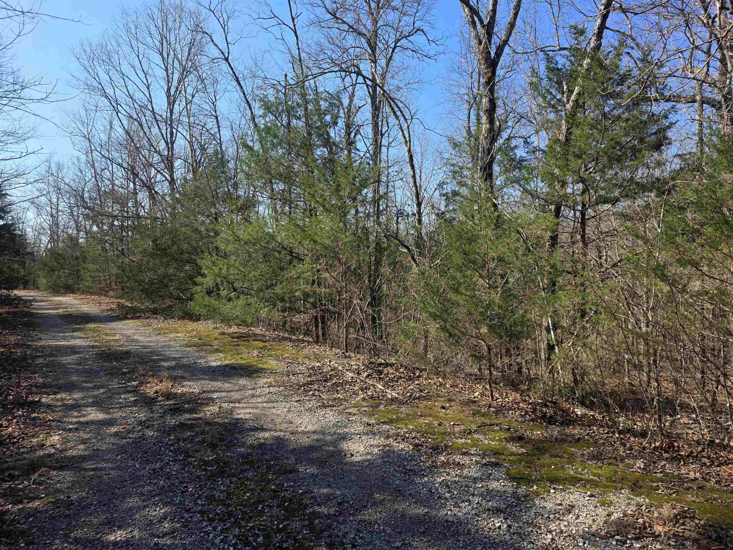 L44 B9 Pahokee  Cherokee Village, AR