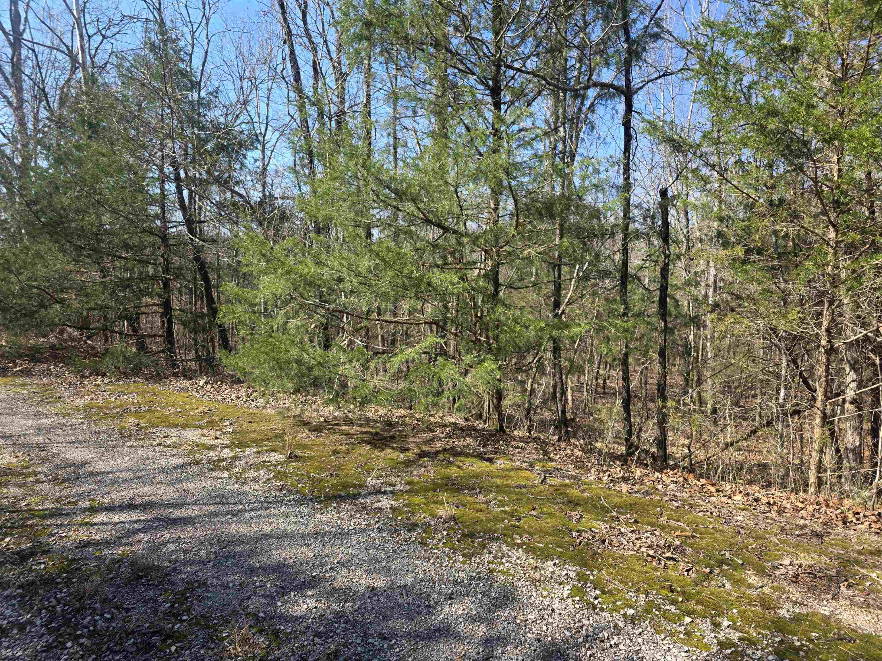 L44 B9 Pahokee  Cherokee Village, AR