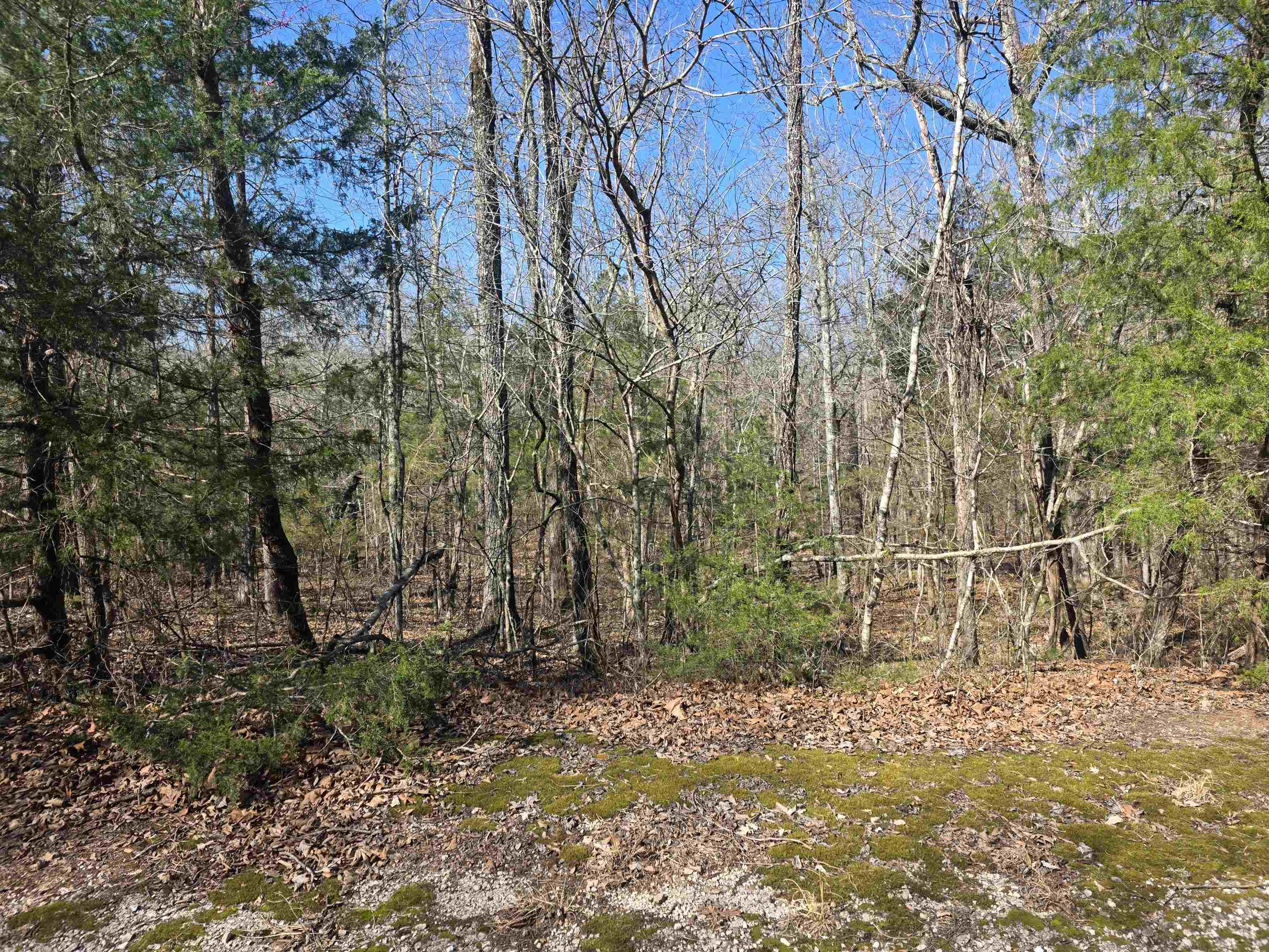 L44 B9 Pahokee  Cherokee Village, AR