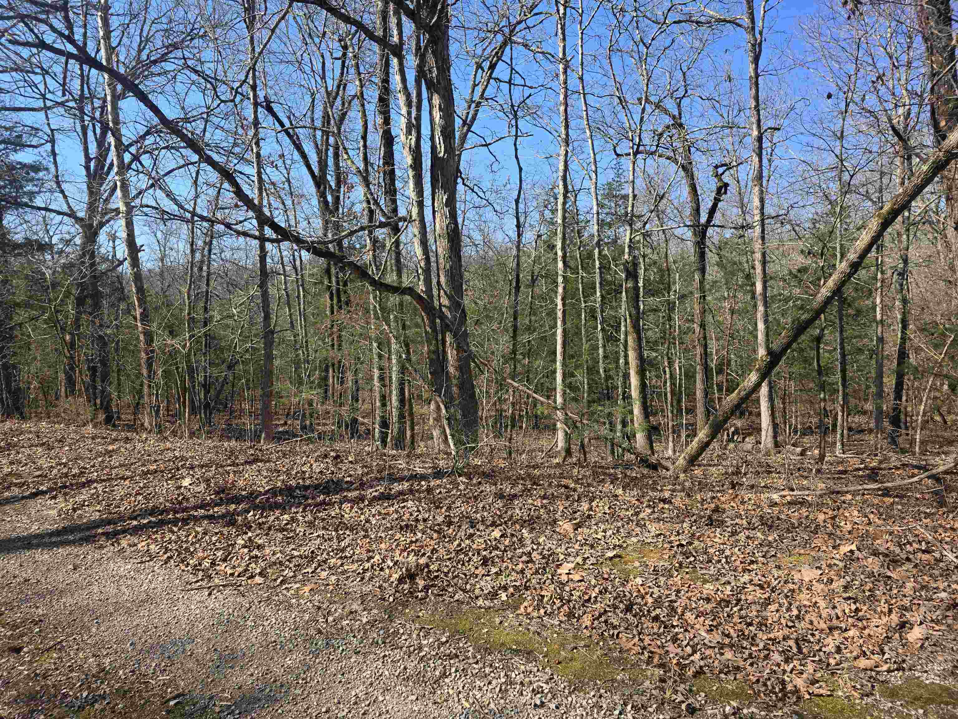 L44 B9 Pahokee  Cherokee Village, AR