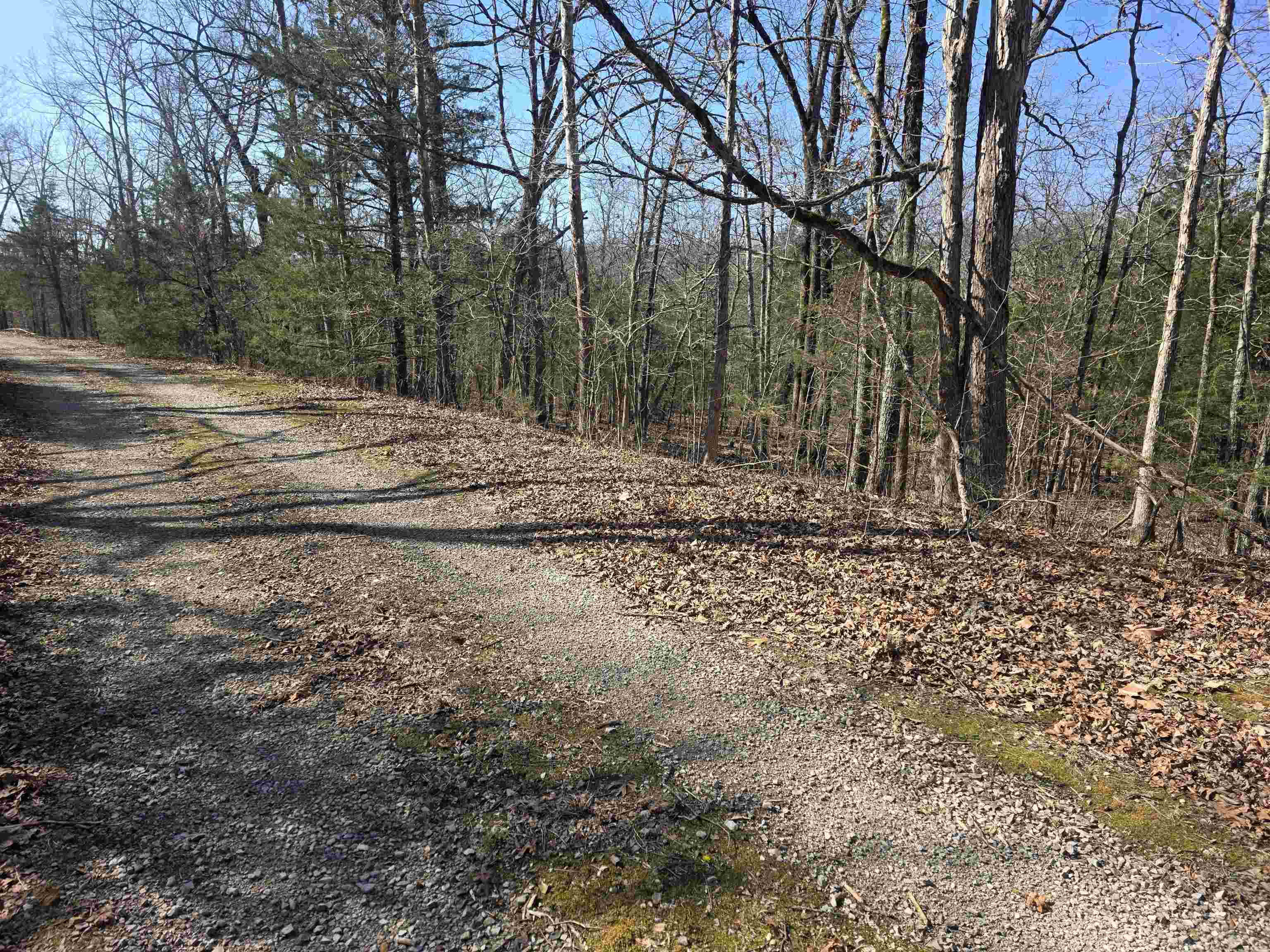 L44 B9 Pahokee  Cherokee Village, AR