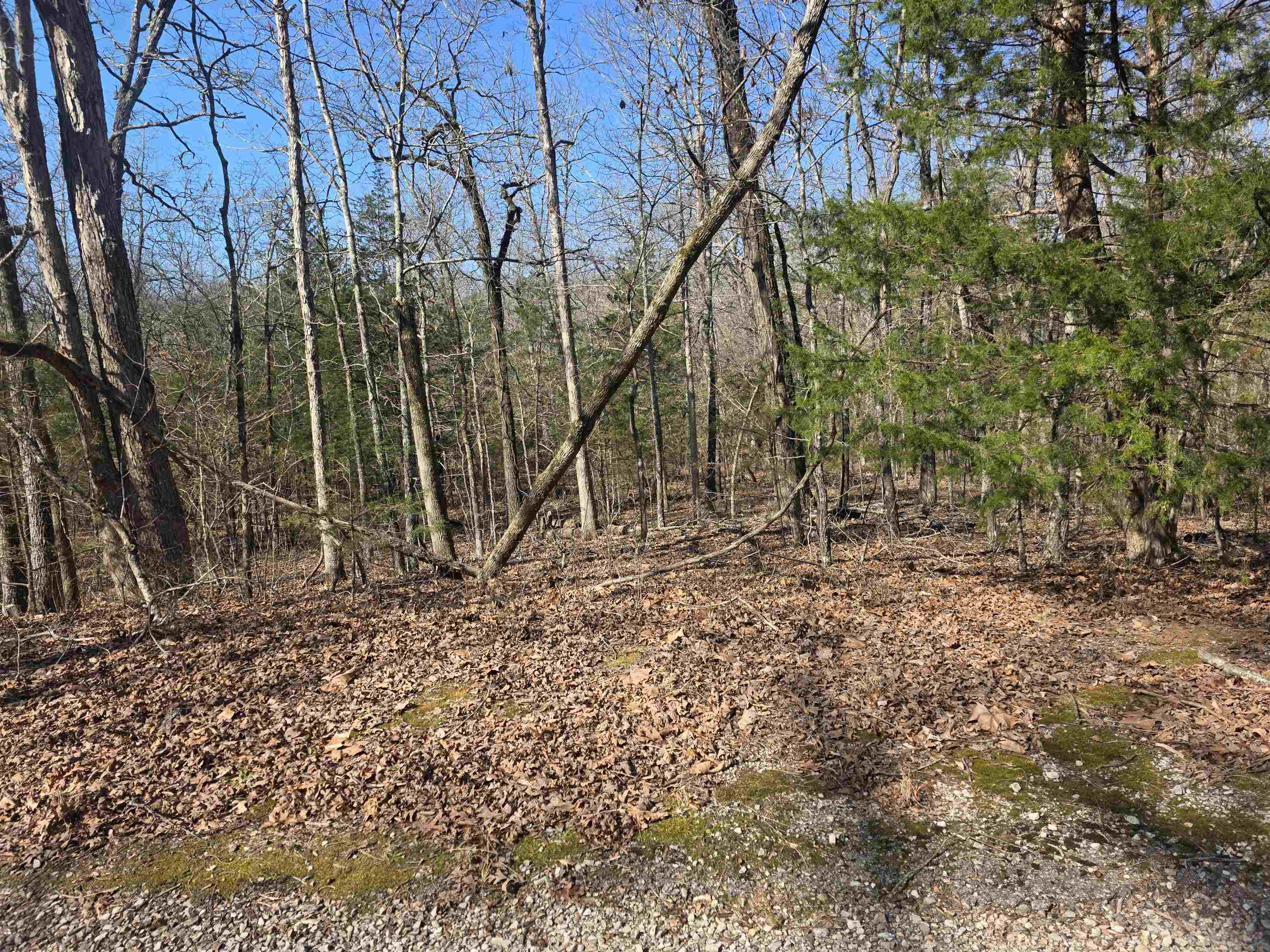 L44 B9 Pahokee  Cherokee Village, AR