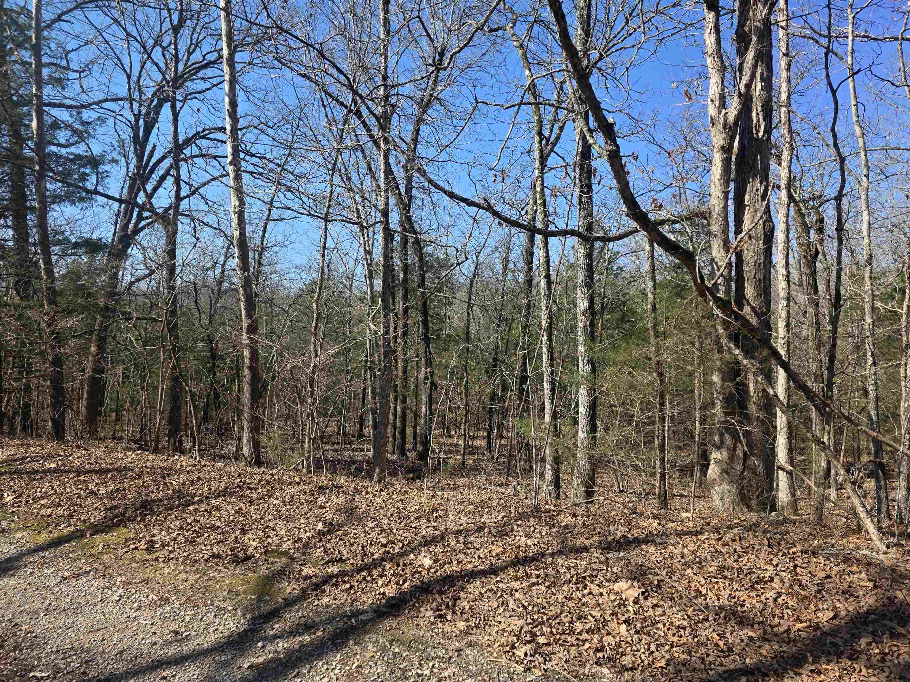 L44 B9 Pahokee  Cherokee Village, AR