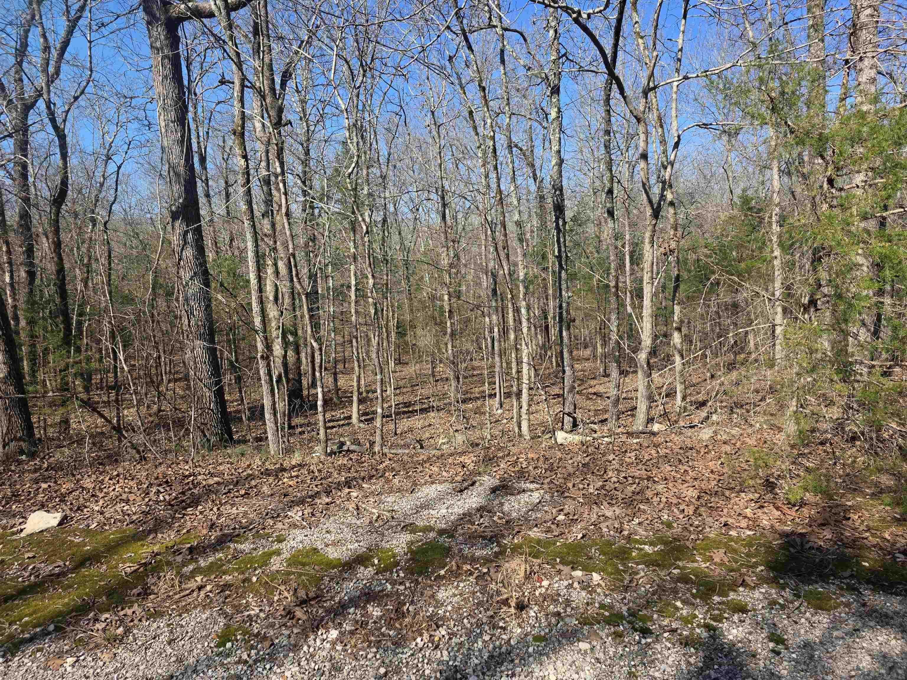 L43 B9 Pahokee  Cherokee Village, AR