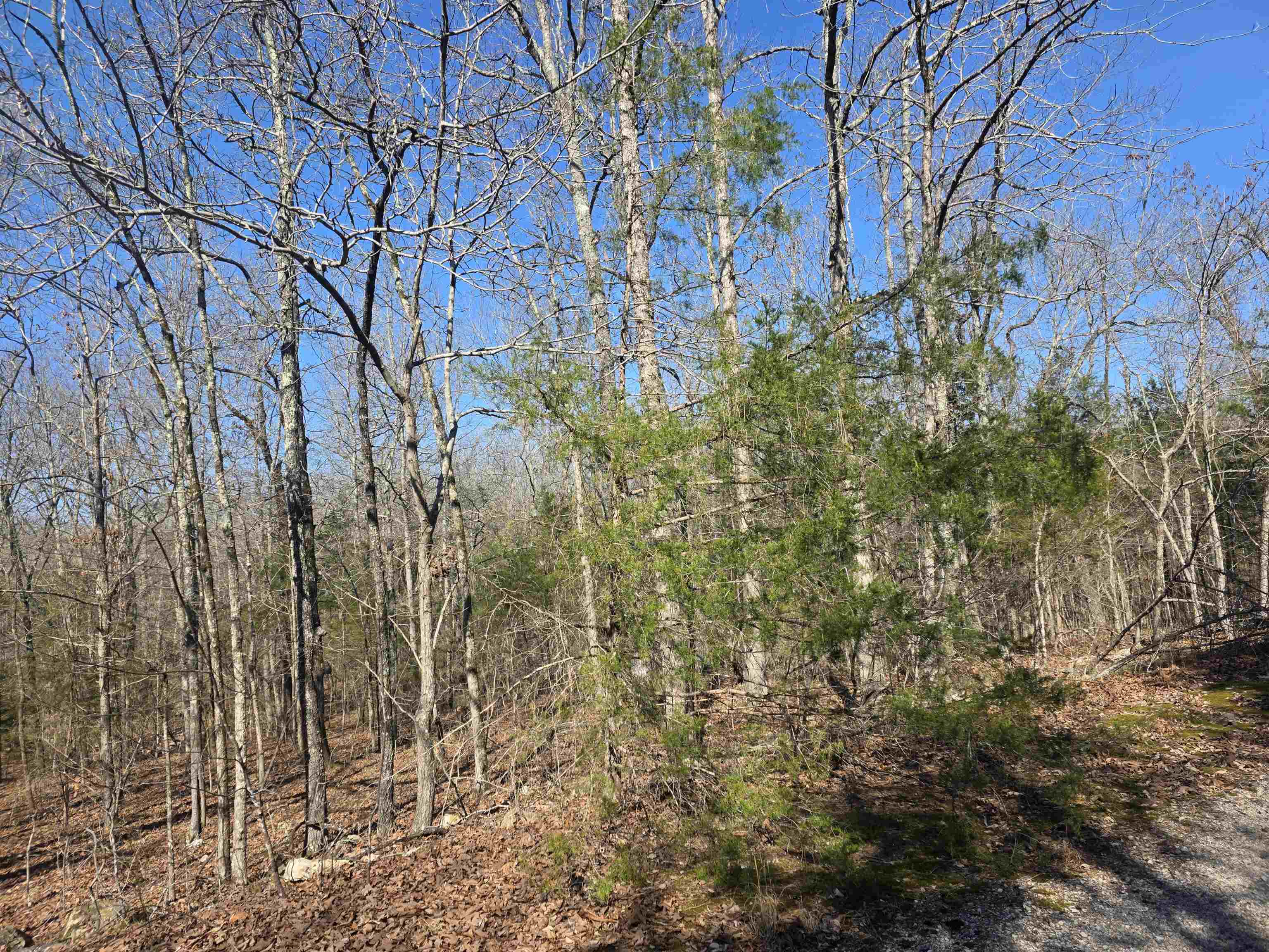 L43 B9 Pahokee  Cherokee Village, AR