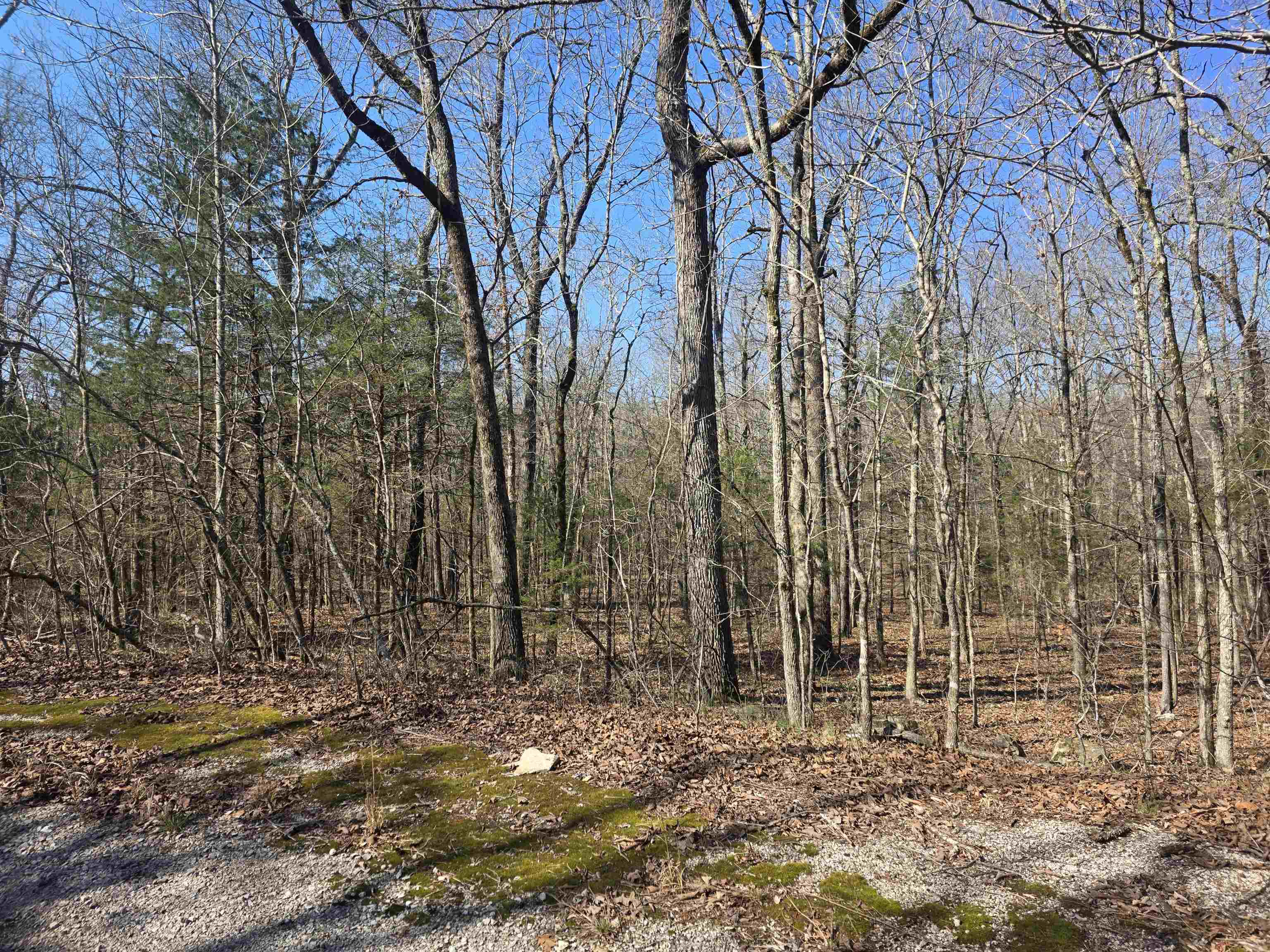 L43 B9 Pahokee  Cherokee Village, AR