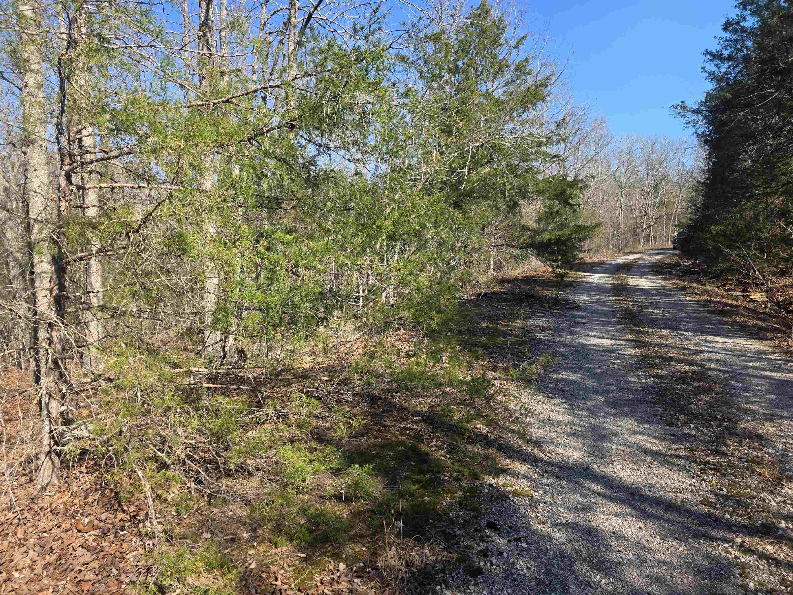 L43 B9 Pahokee  Cherokee Village, AR