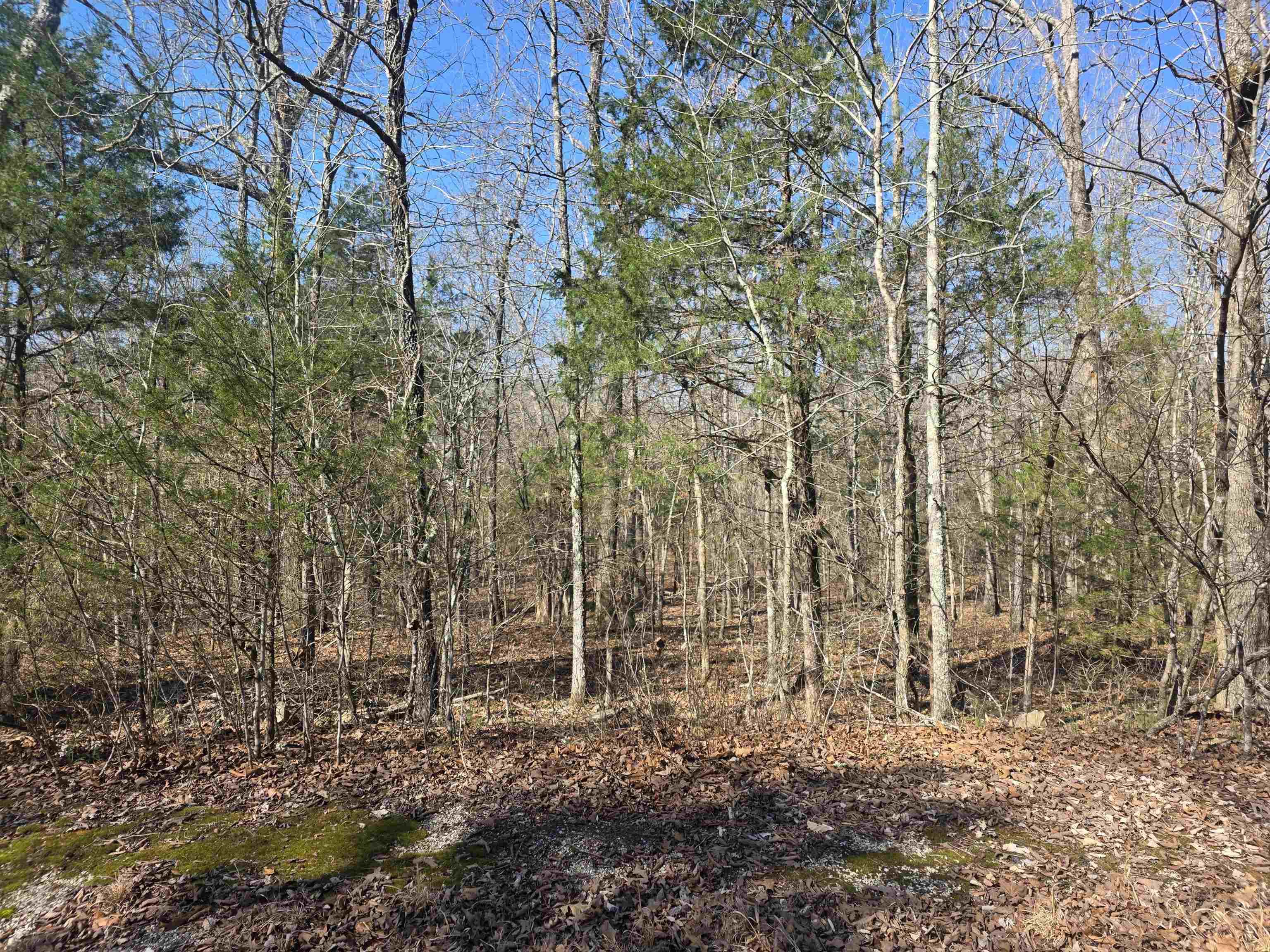 L43 B9 Pahokee  Cherokee Village, AR