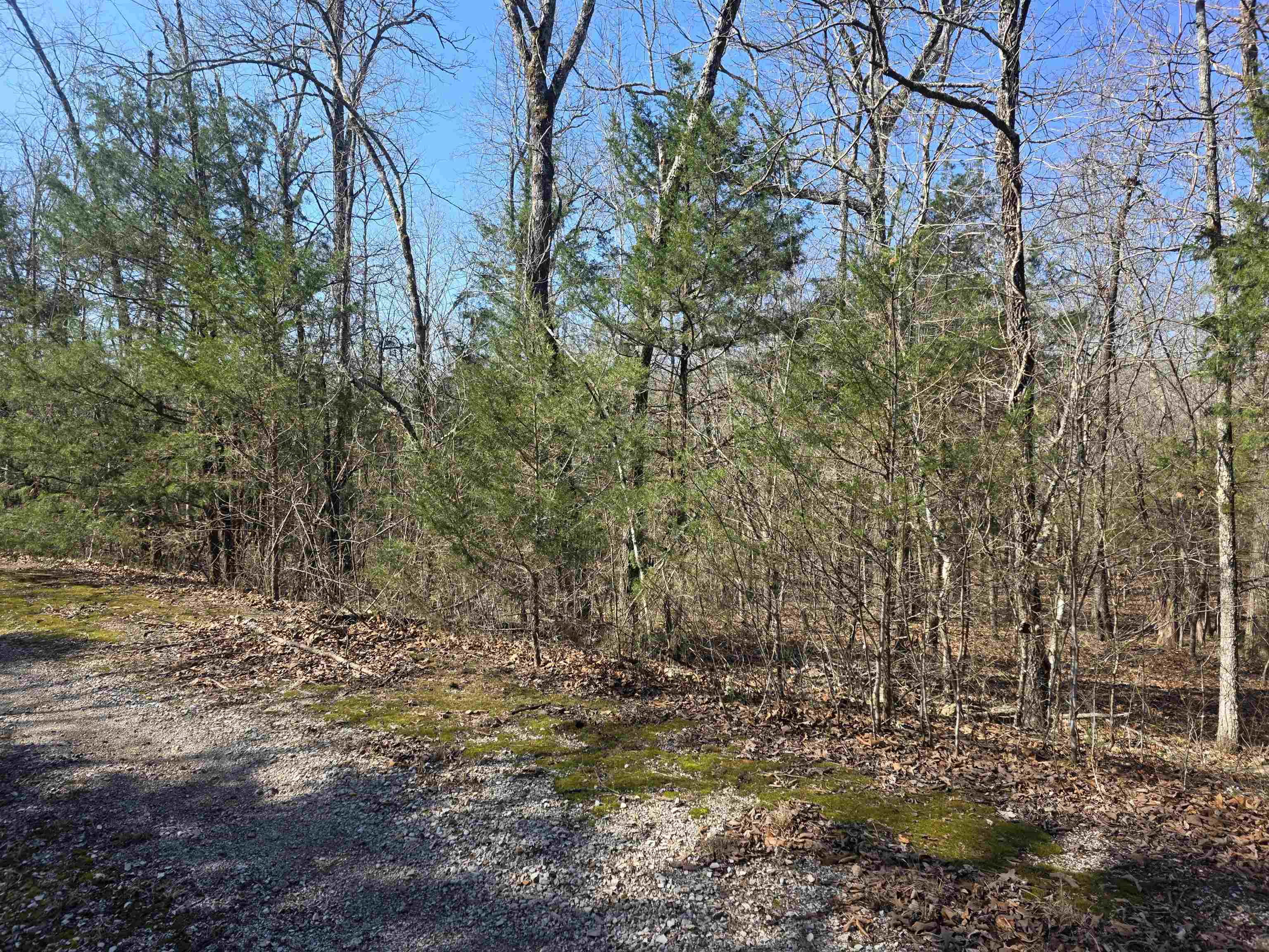 L43 B9 Pahokee  Cherokee Village, AR