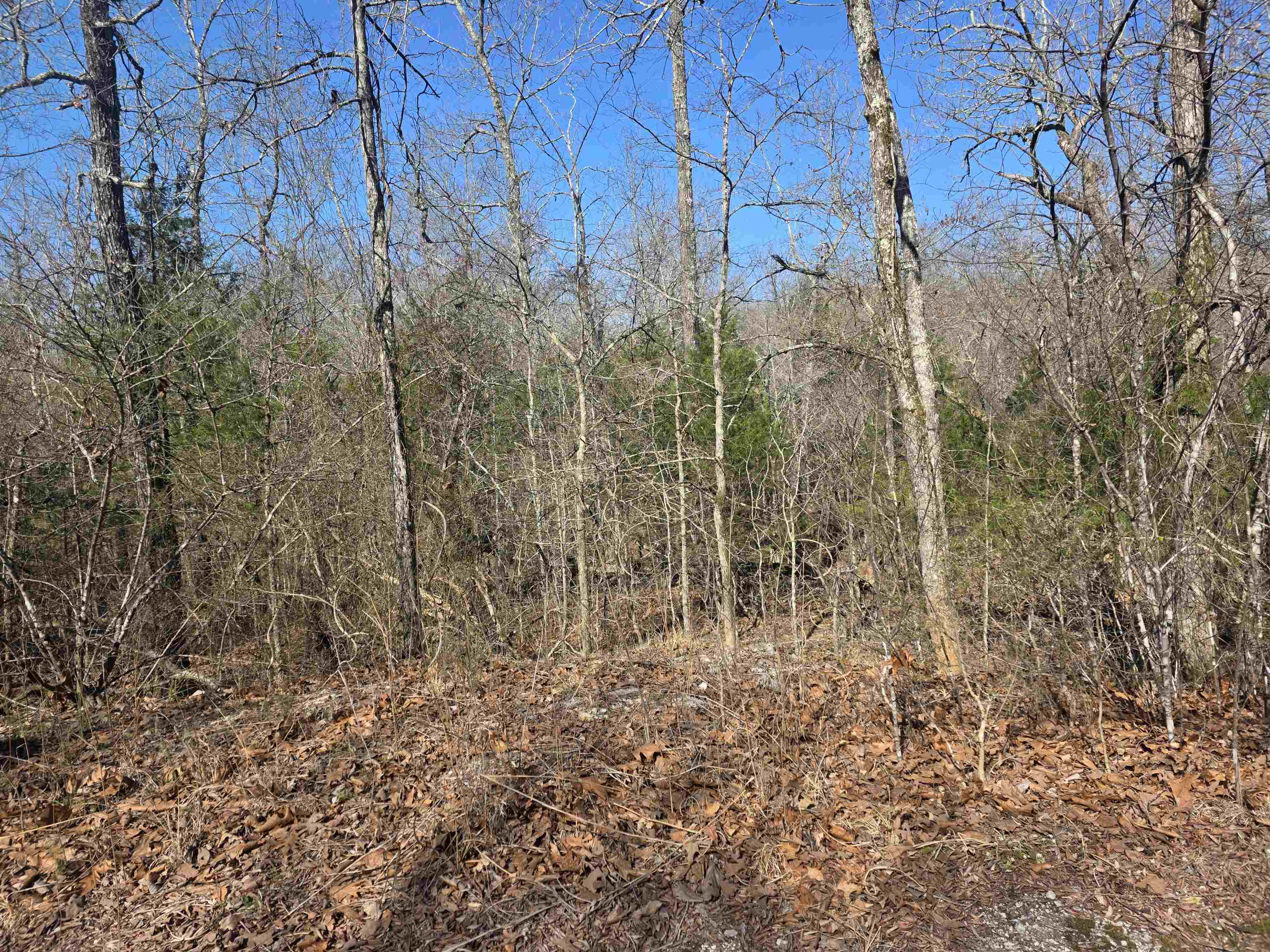 L42 B9 Pahokee  Cherokee Village, AR