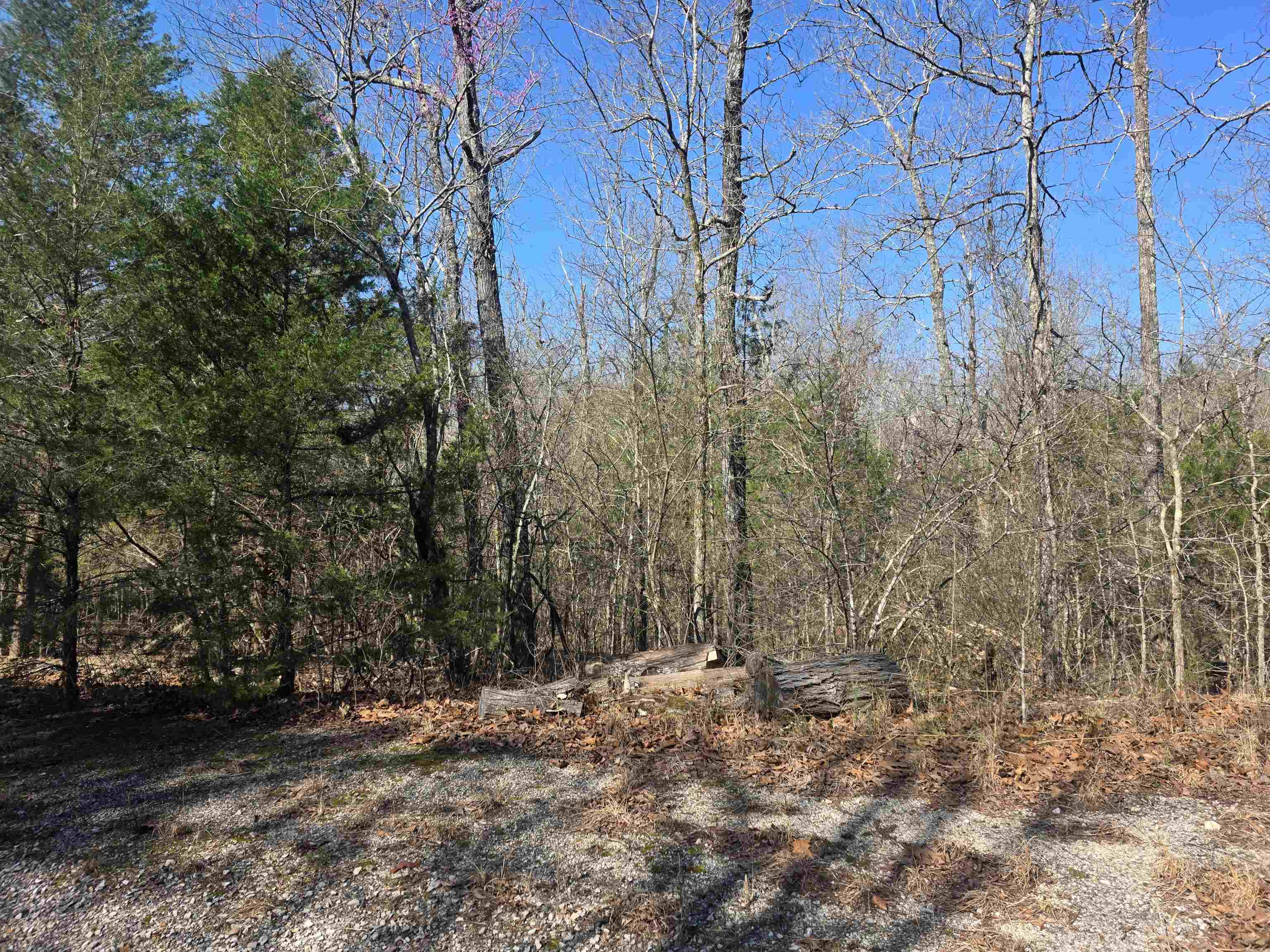 L42 B9 Pahokee  Cherokee Village, AR