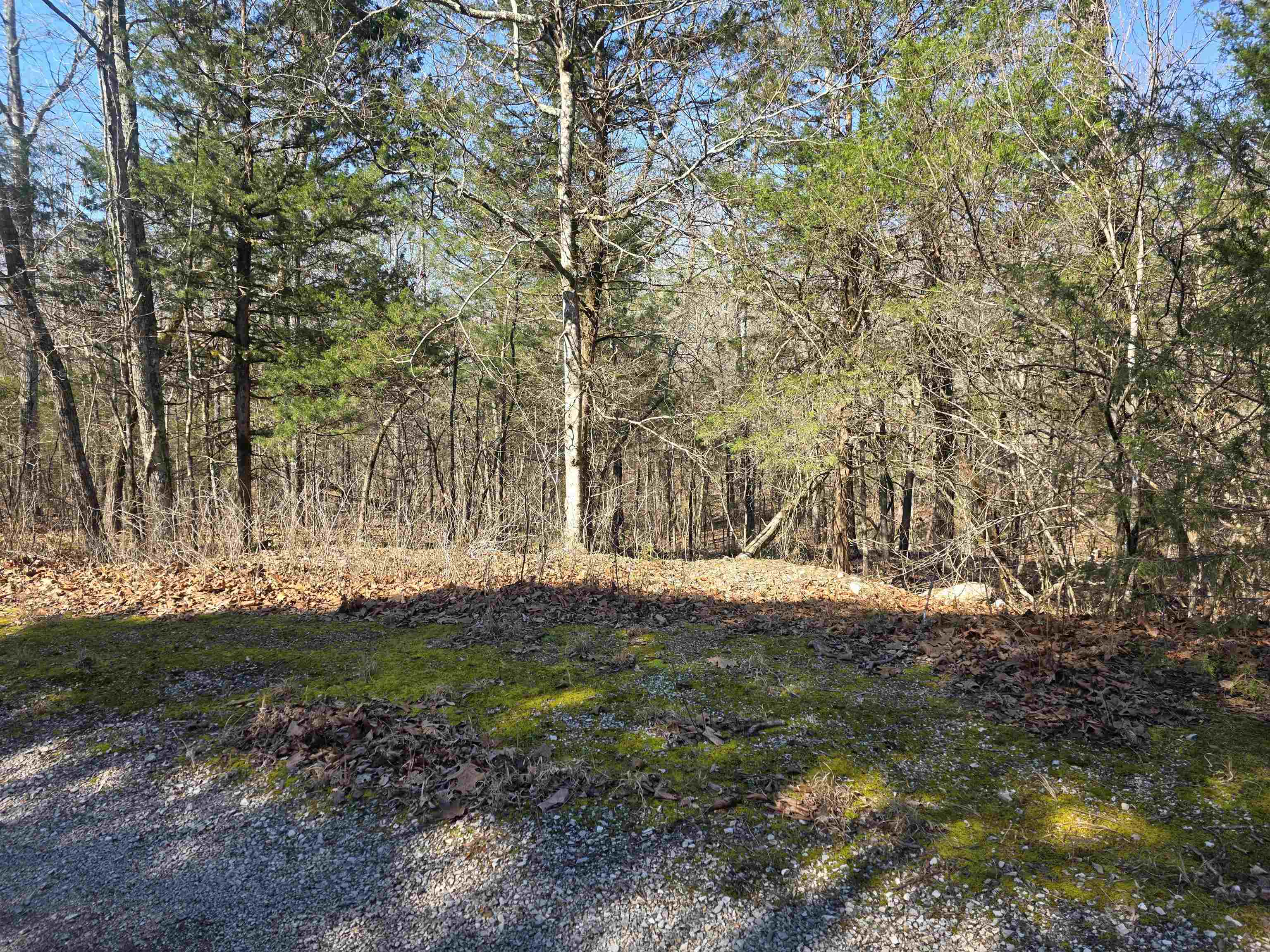 L42 B9 Pahokee  Cherokee Village, AR