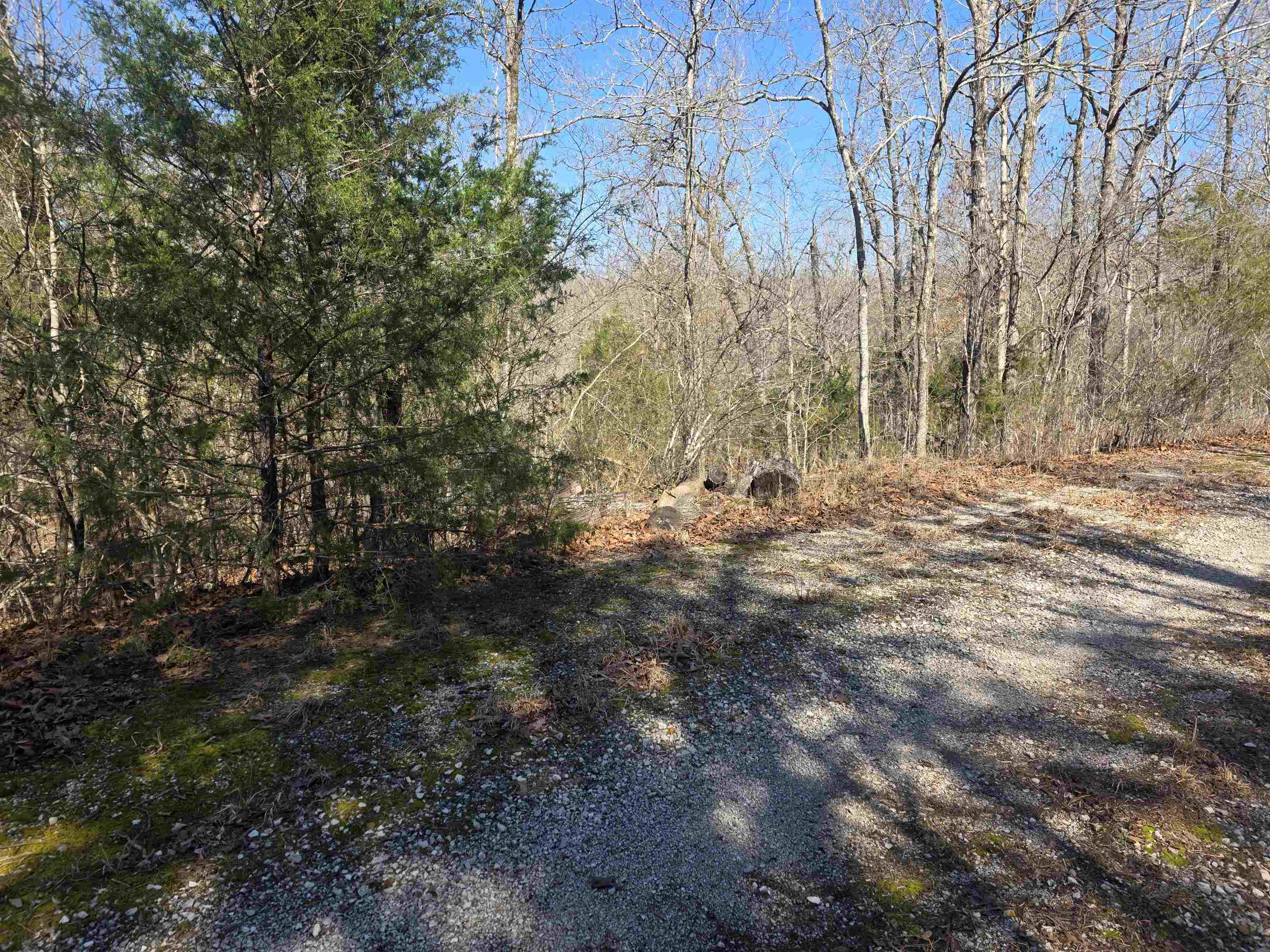 L42 B9 Pahokee  Cherokee Village, AR