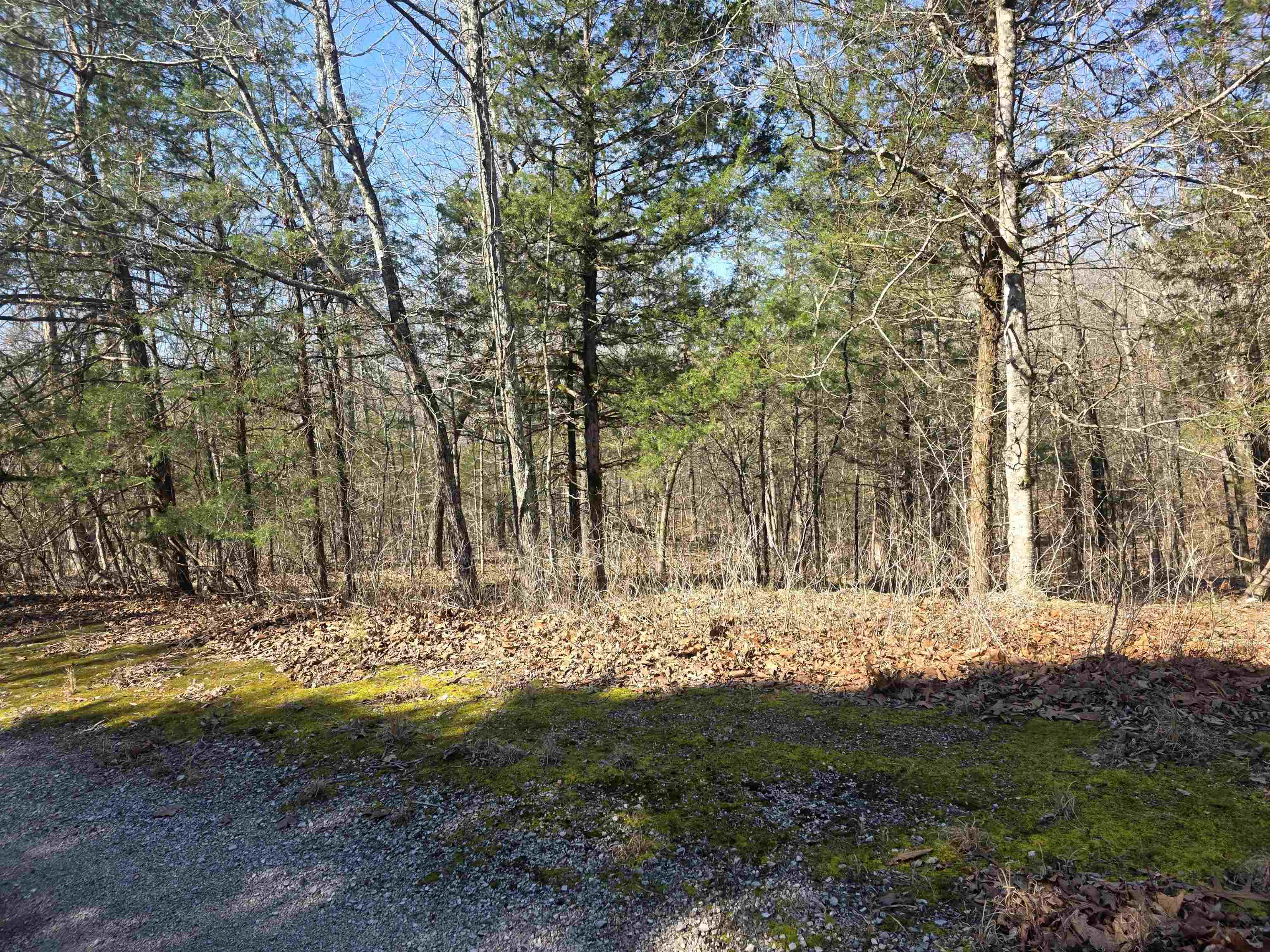 L42 B9 Pahokee  Cherokee Village, AR