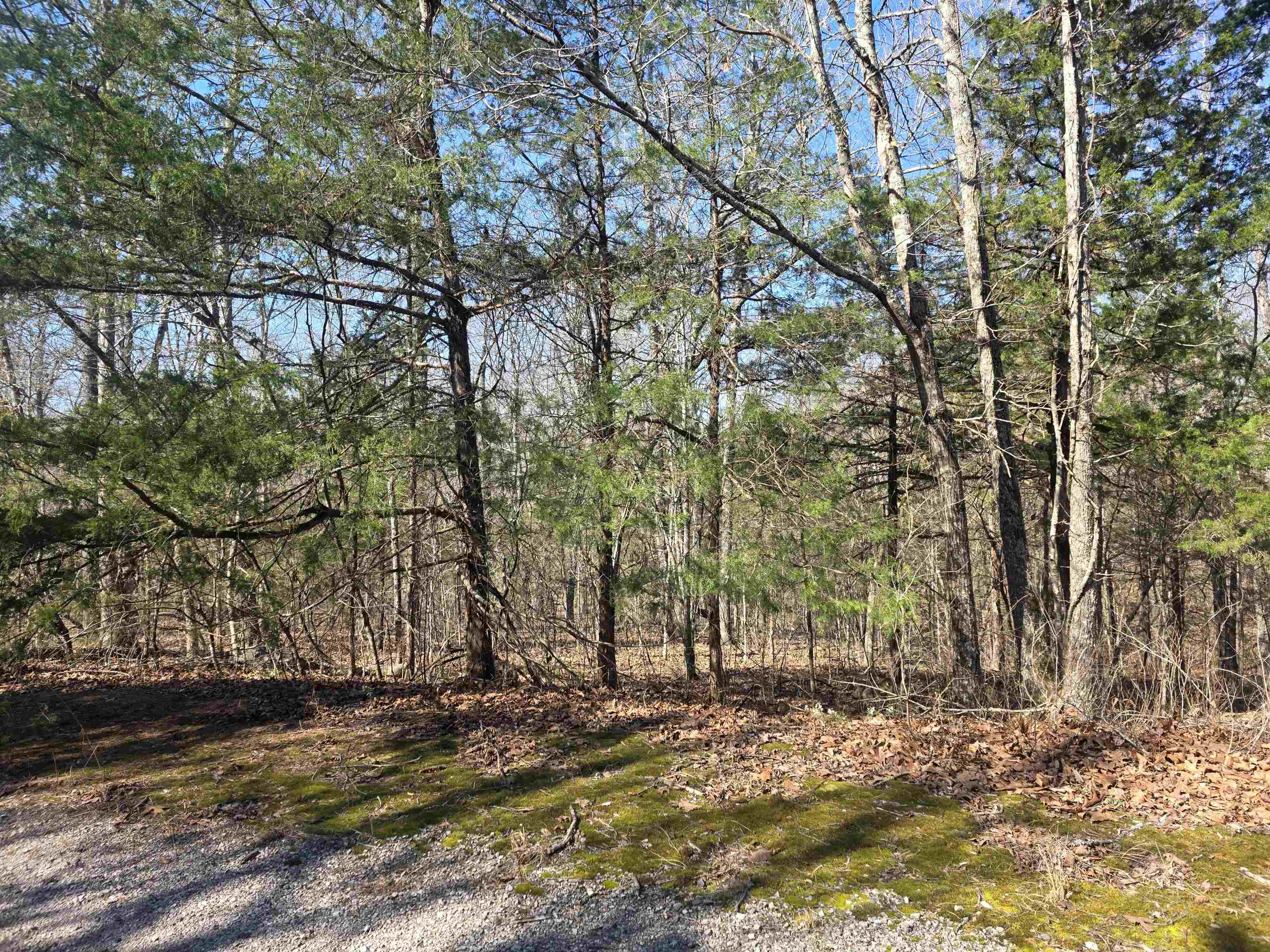 L42 B9 Pahokee  Cherokee Village, AR