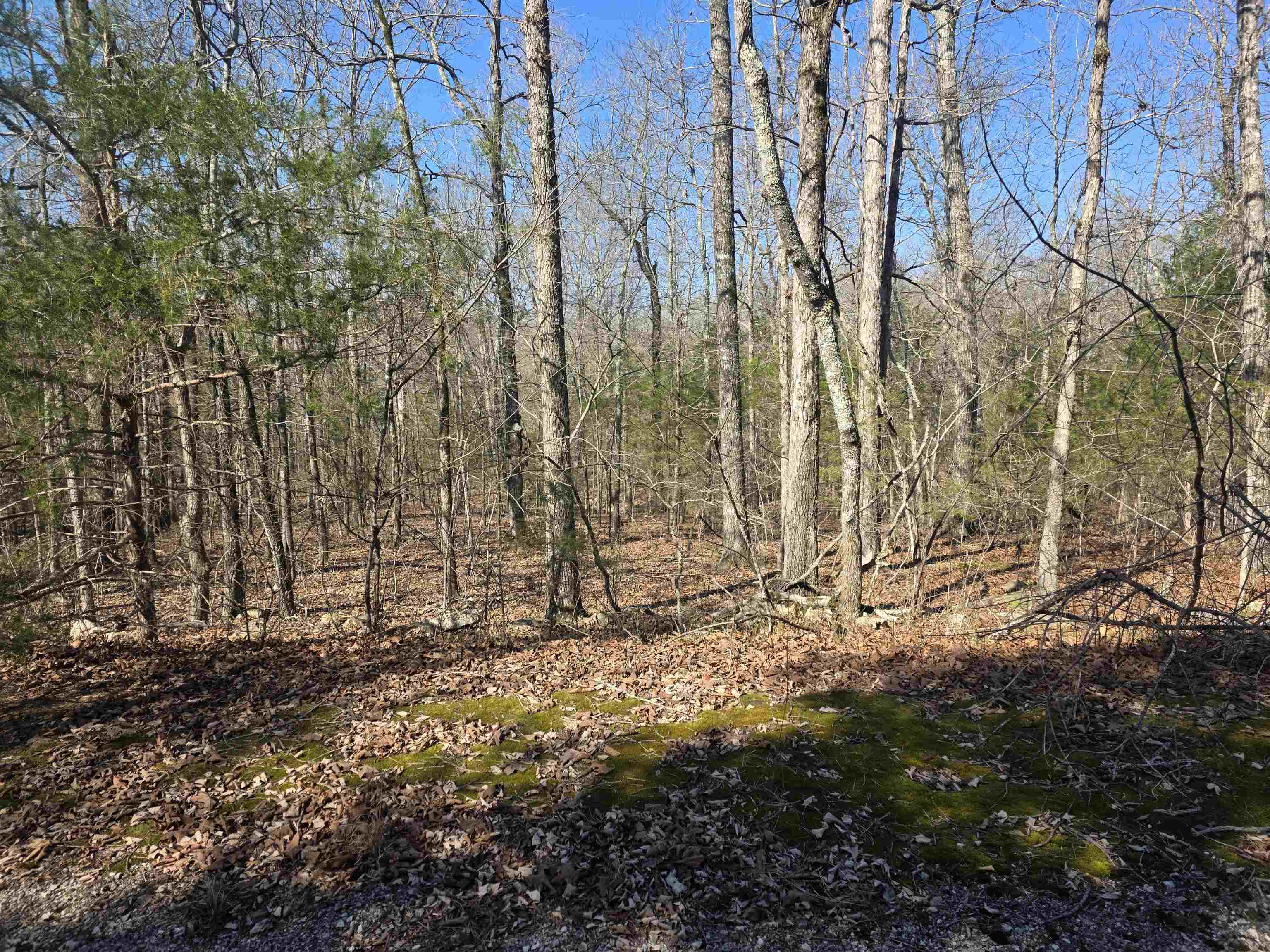 L42 B9 Pahokee  Cherokee Village, AR