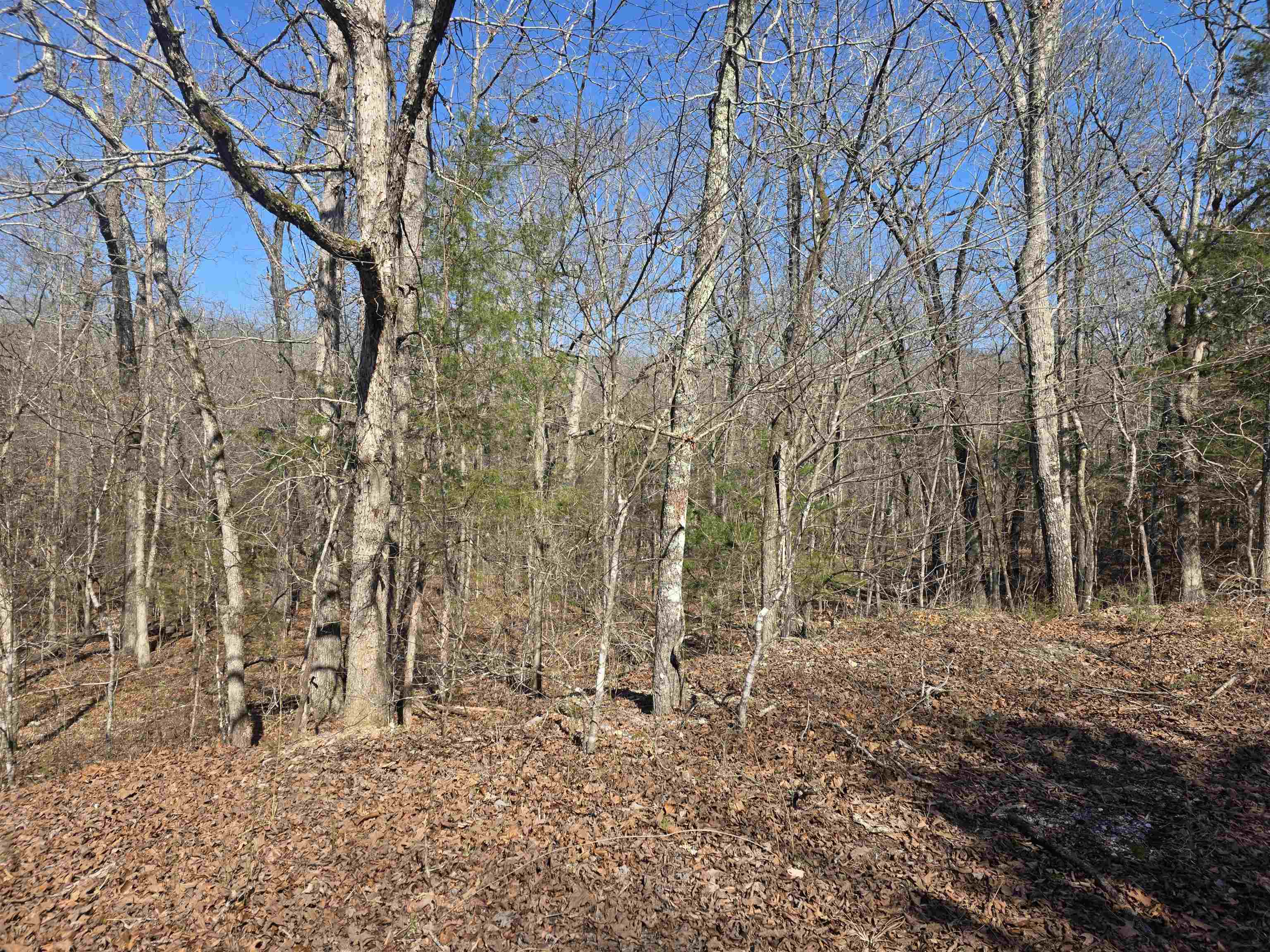 L41 B9 Pahokee  Cherokee Village, AR