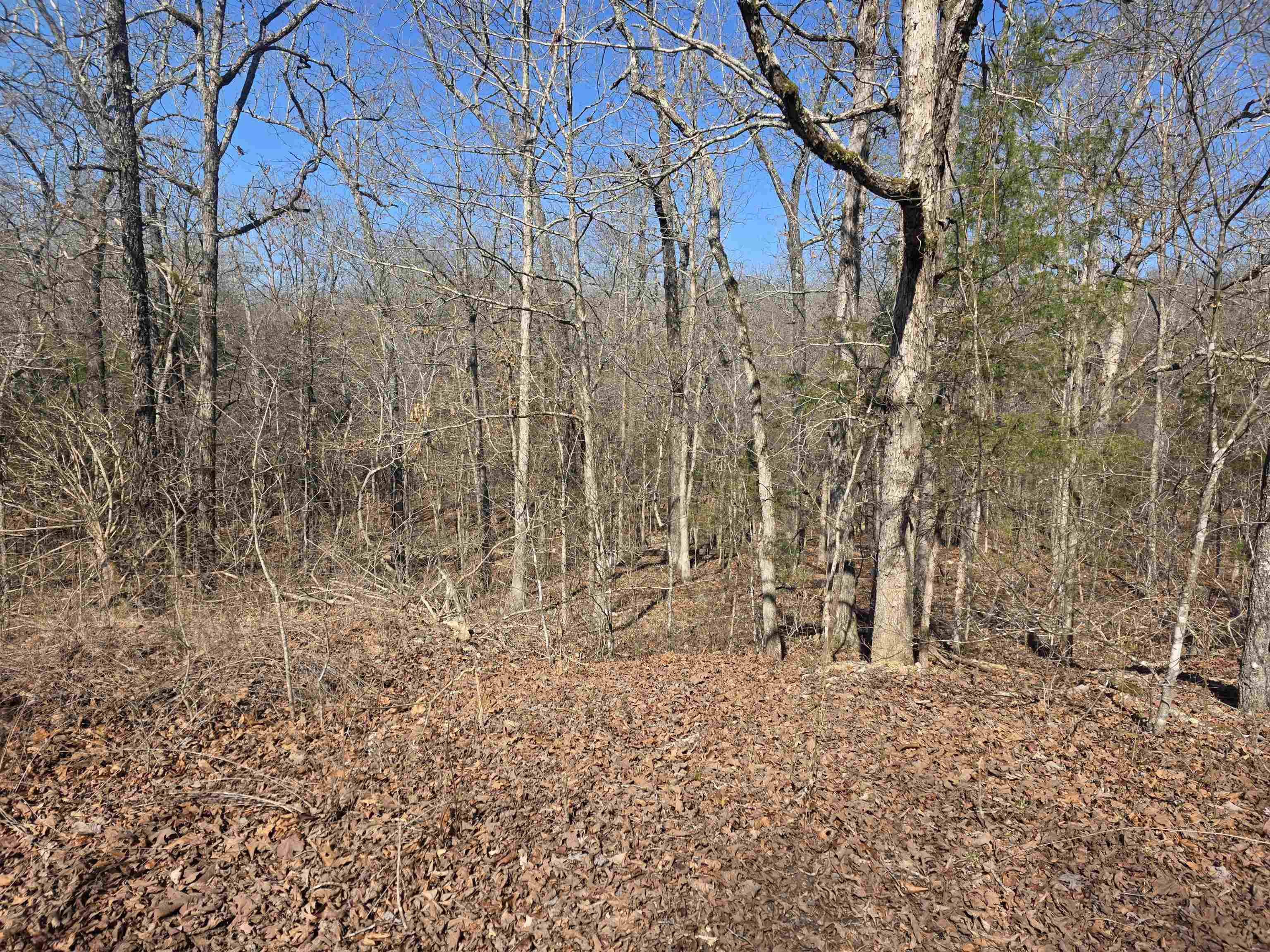 L41 B9 Pahokee  Cherokee Village, AR