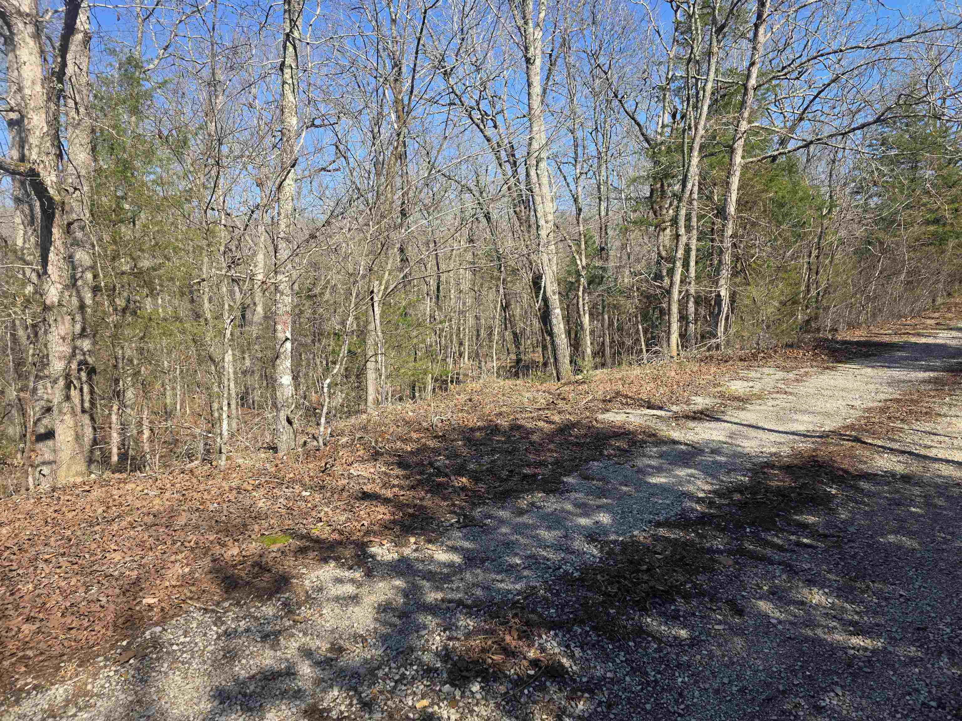 L41 B9 Pahokee  Cherokee Village, AR