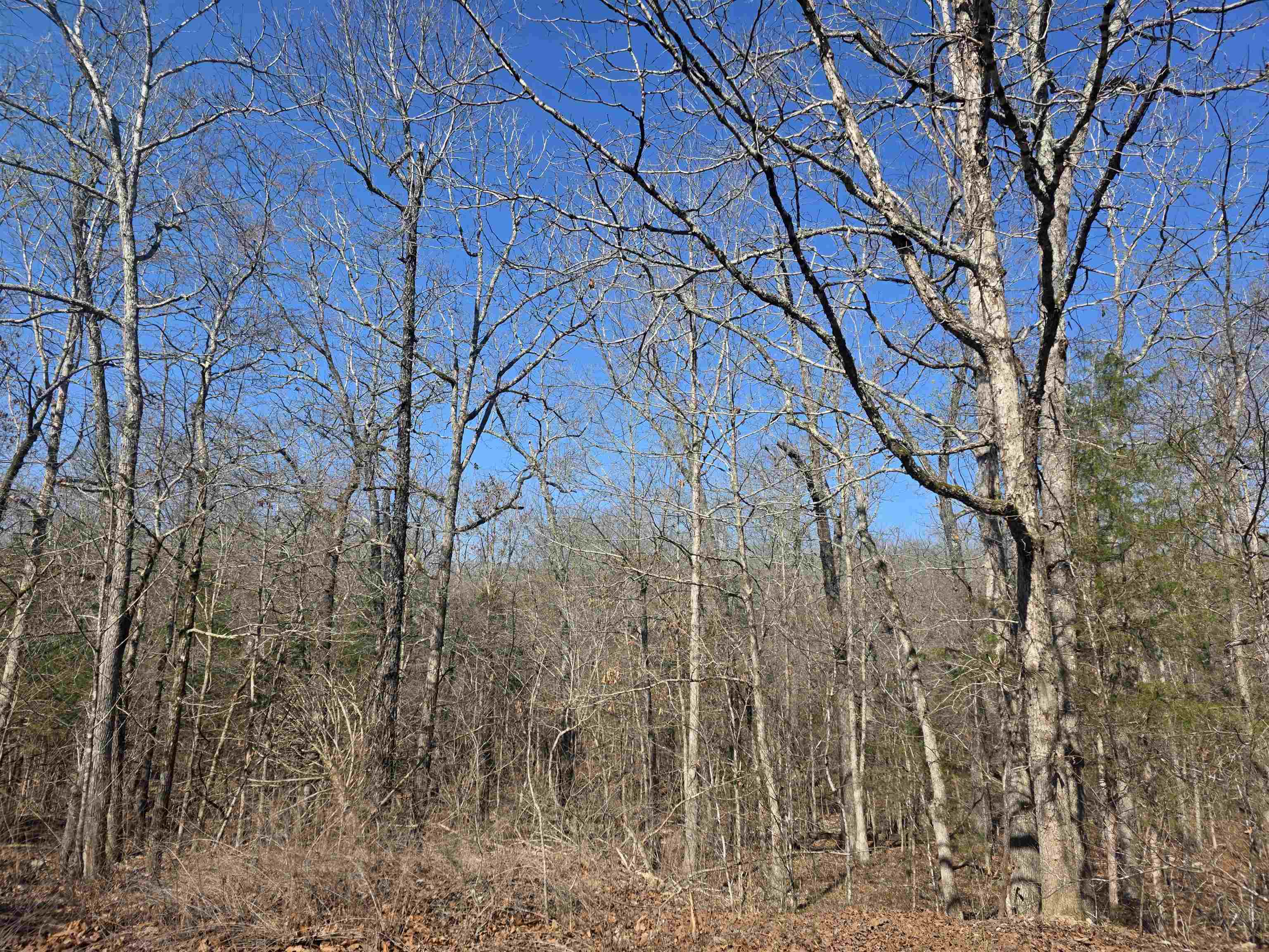 L41 B9 Pahokee  Cherokee Village, AR