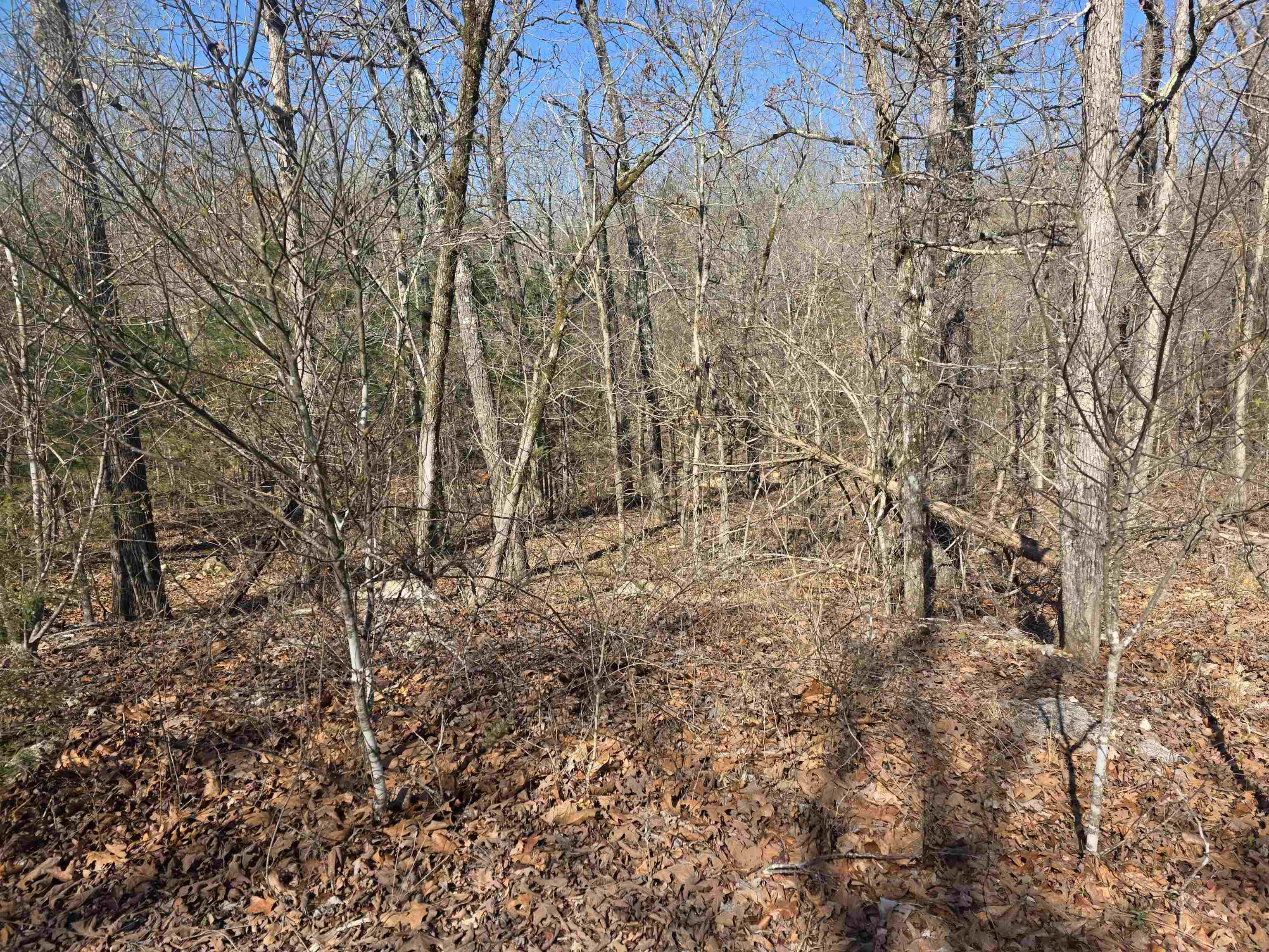 L41 B9 Pahokee  Cherokee Village, AR