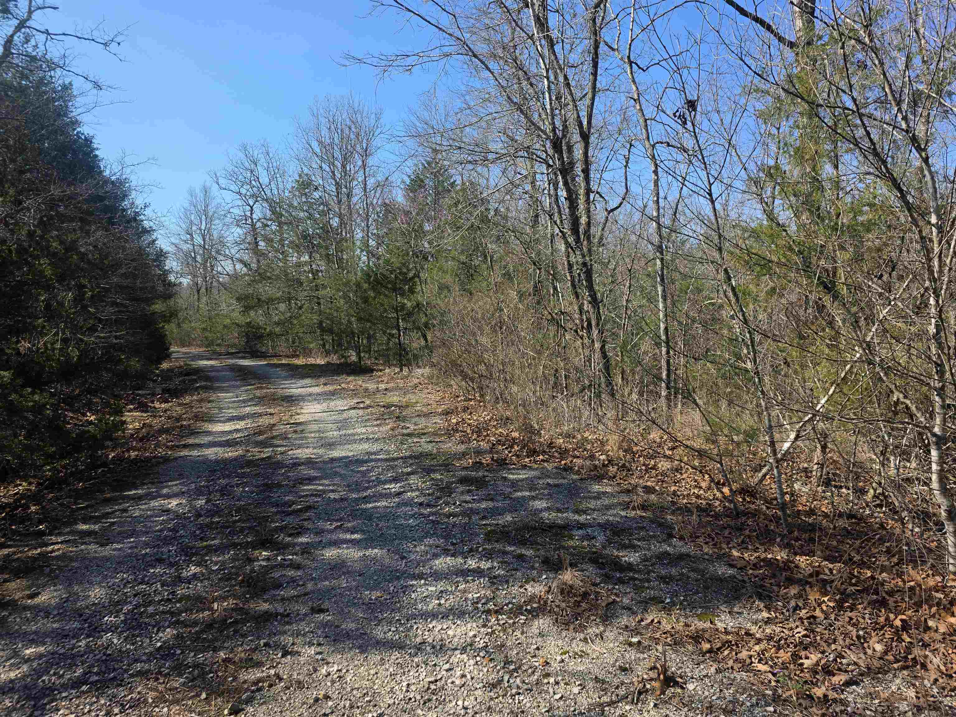 L41 B9 Pahokee  Cherokee Village, AR